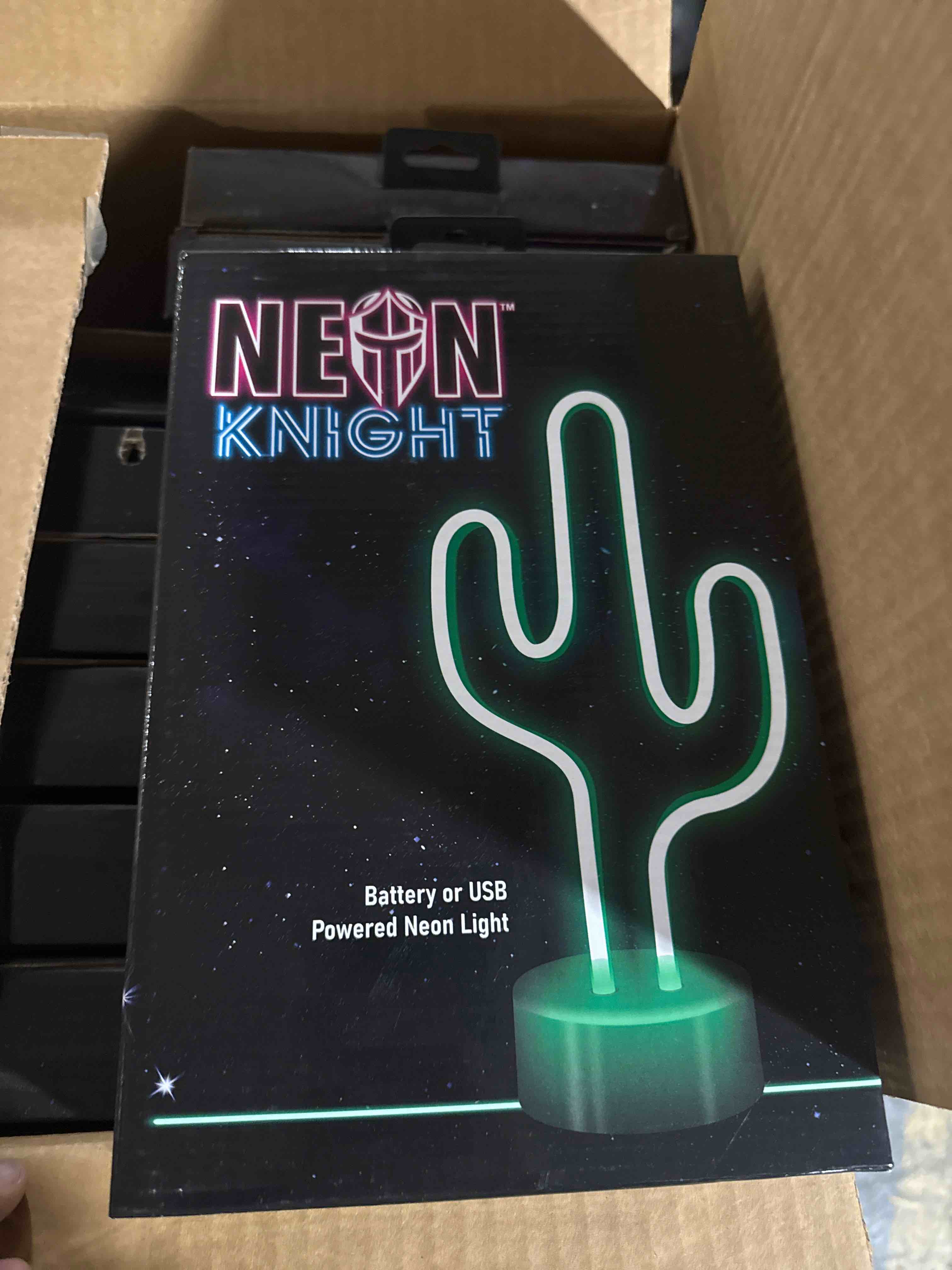 Neon Knight NS1906026 LED Cactus Light LED Lights for Bedroom- Green
