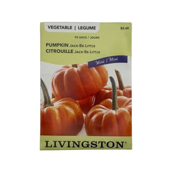 Garden Seed Livingston Pumpkin Jack-Be-Little