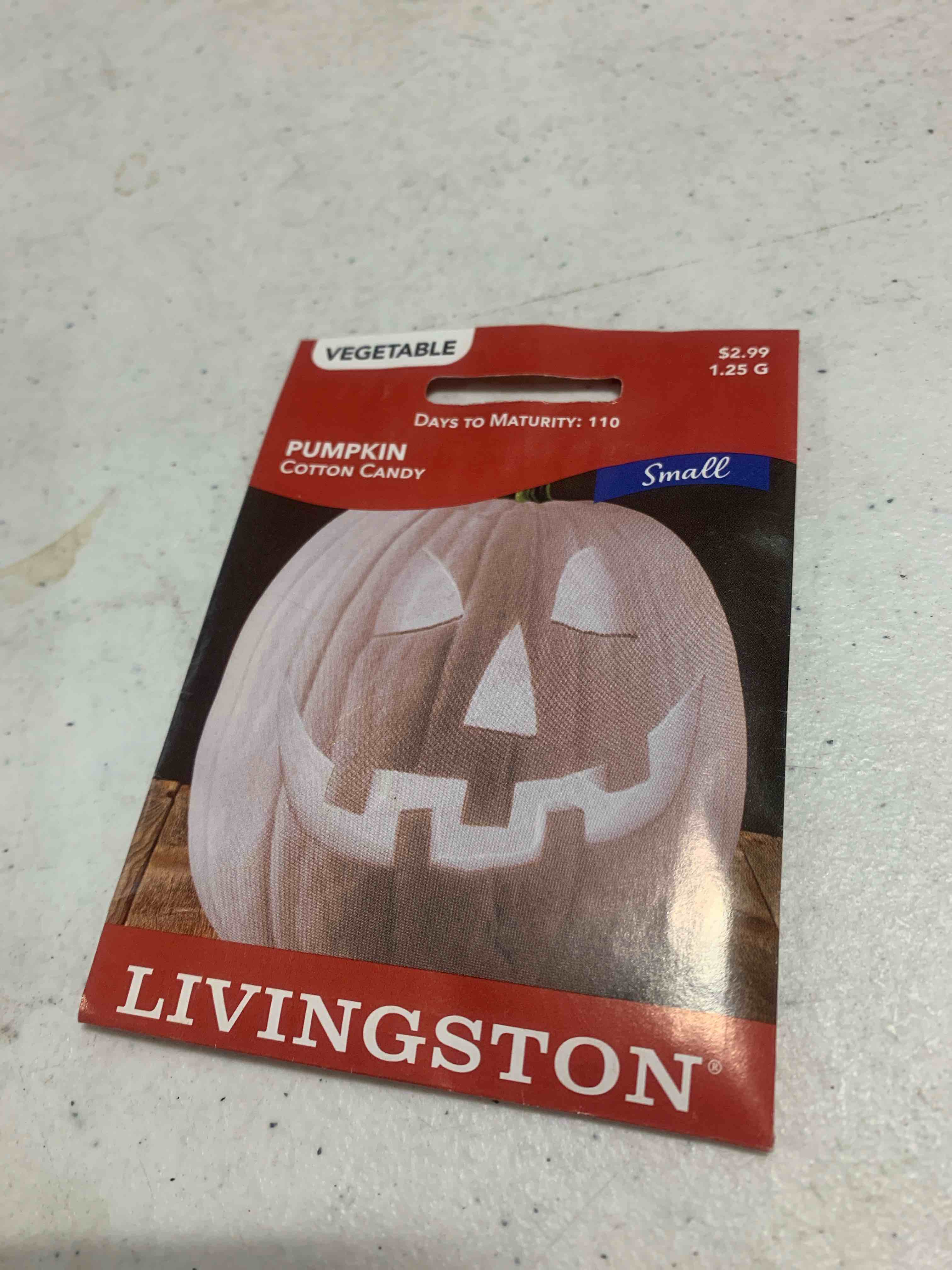 Livingston Seeds, Pumpkin Cotton Candy 1.25G