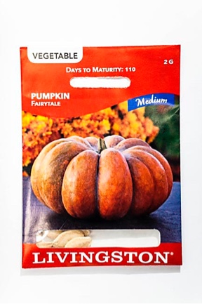 Livingston Seeds Pumpkin fairytale, 2G