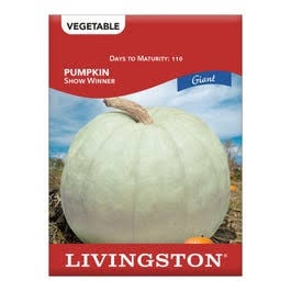 Livingston Pumpkin Show Winner