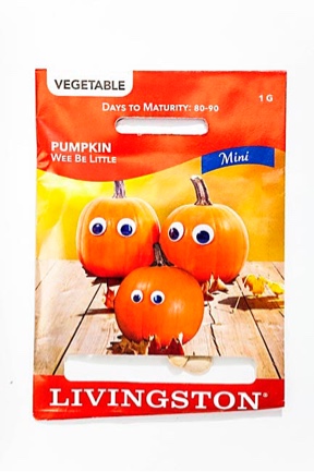 Livingston Seeds, Pumpkin Wee Be Little 1G