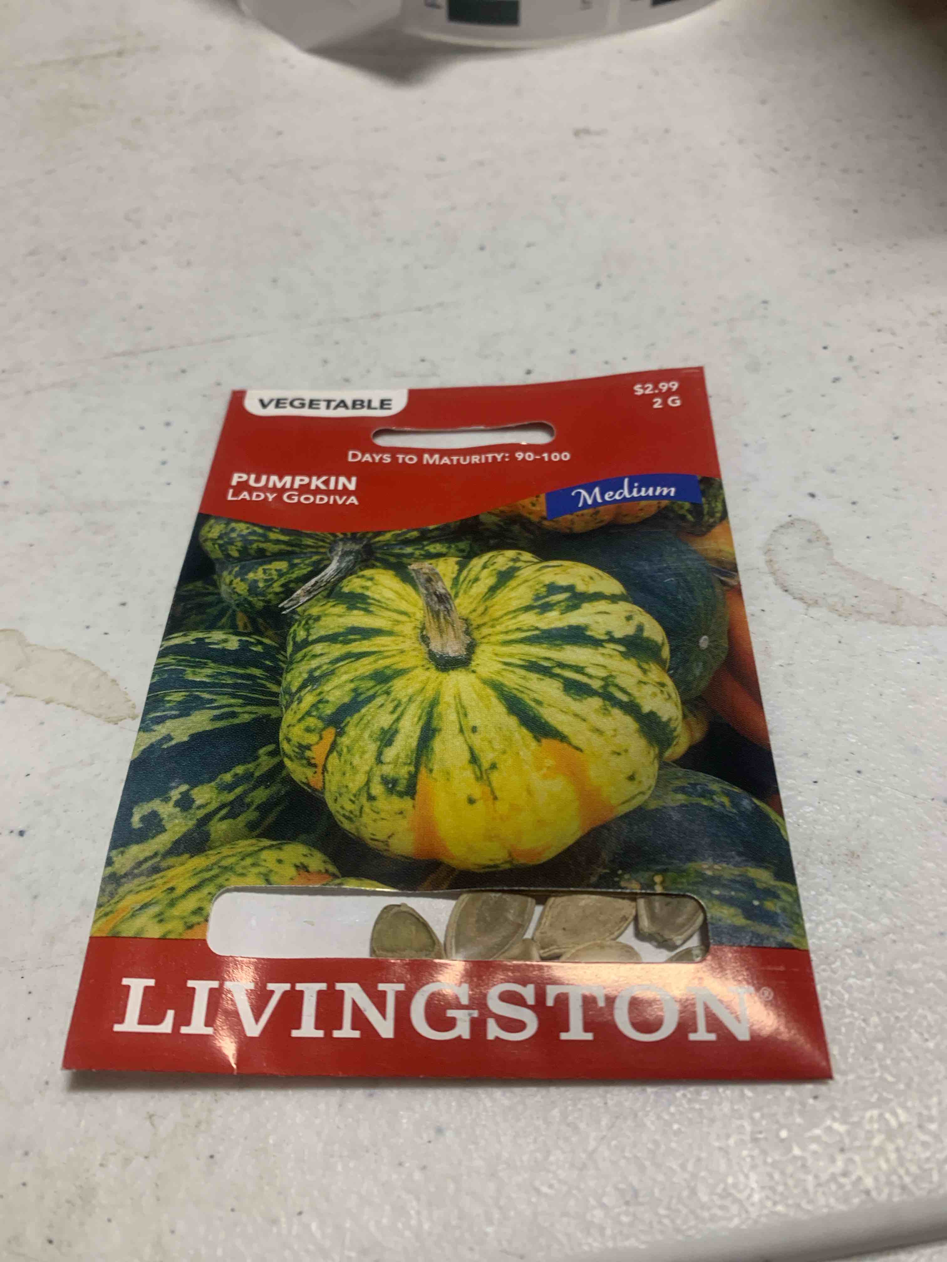 Livingston Seeds, Pumpkin Lady Godiva 2G