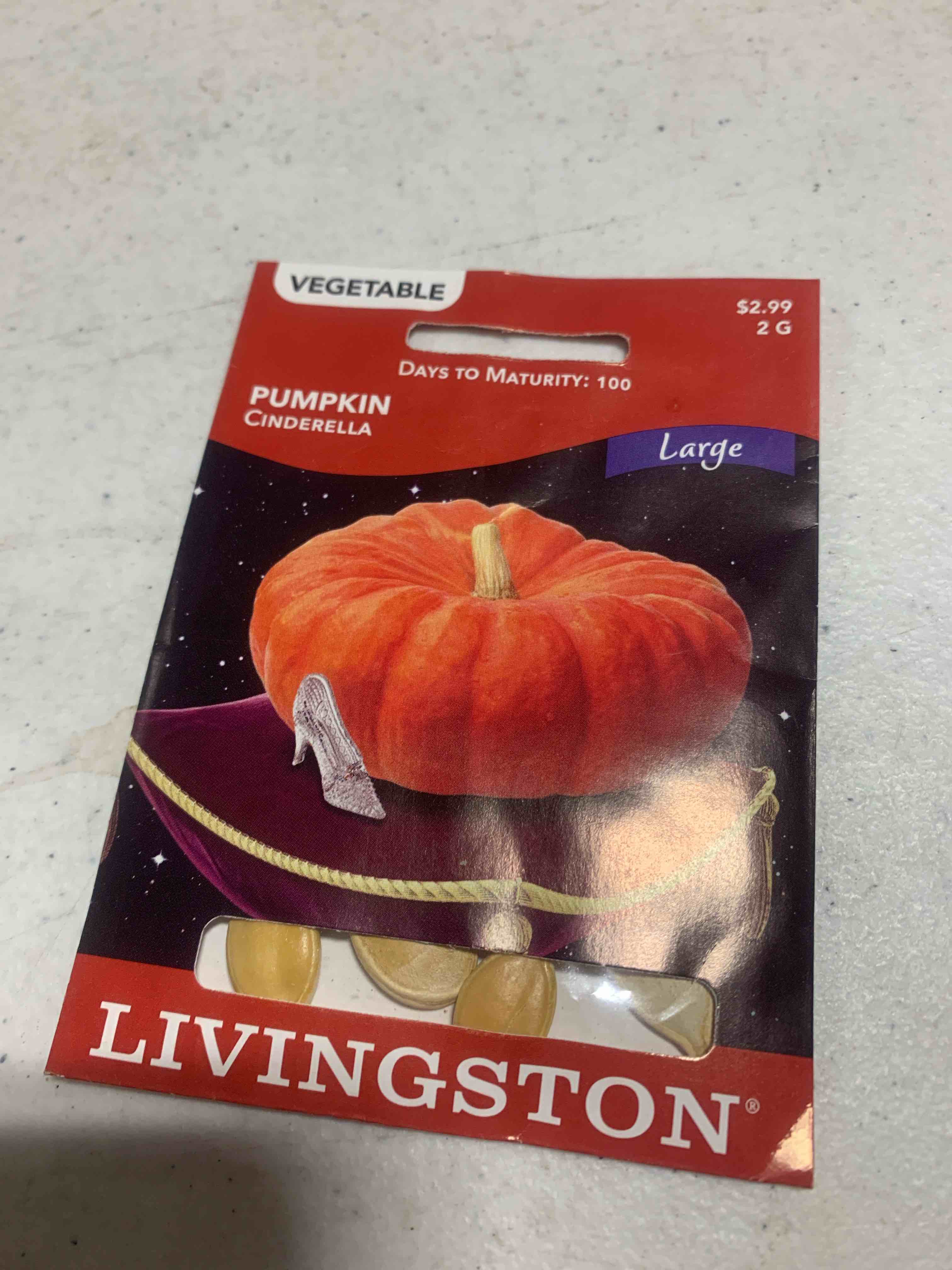 Livingston Seeds, Pumpkin Cinderella 2G