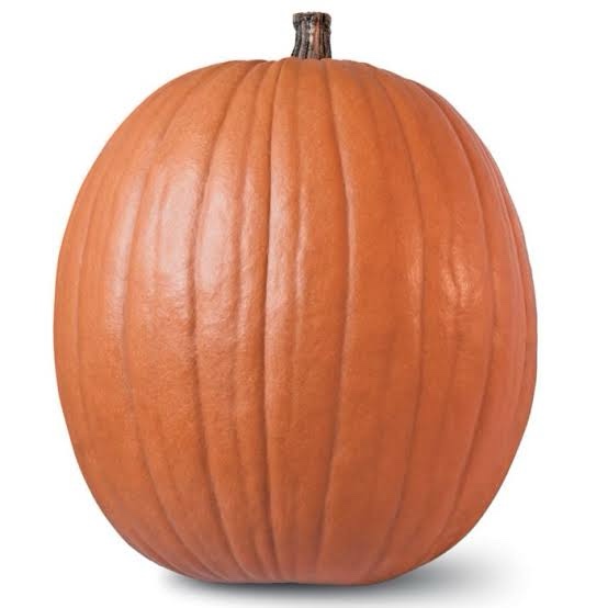 Livingston Pumpkin Howden