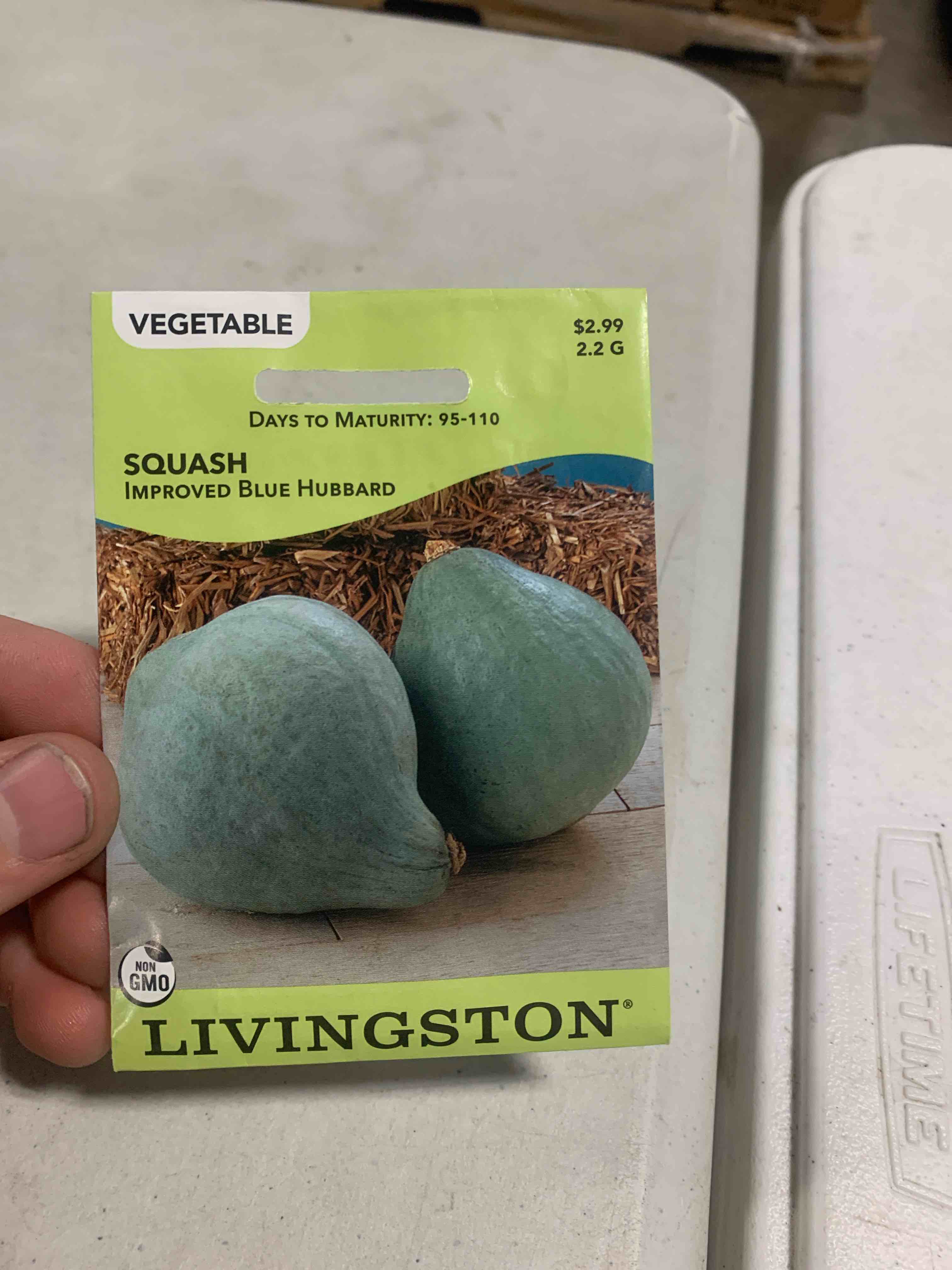 Livingston Seeds Improved Blue Hubbard Seeds 2.2G