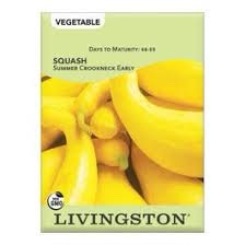 Livingston Seed Squash Summer Crookneck Early Seed