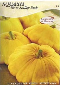 Livingston Squash Yellow Scallop Bush Seeds 2.5 g 