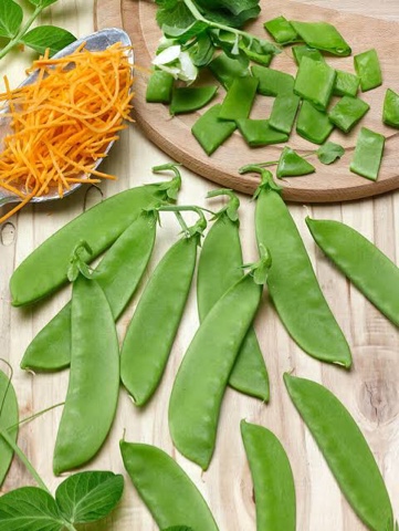 Livingston Pea Oregon Sugar Pod