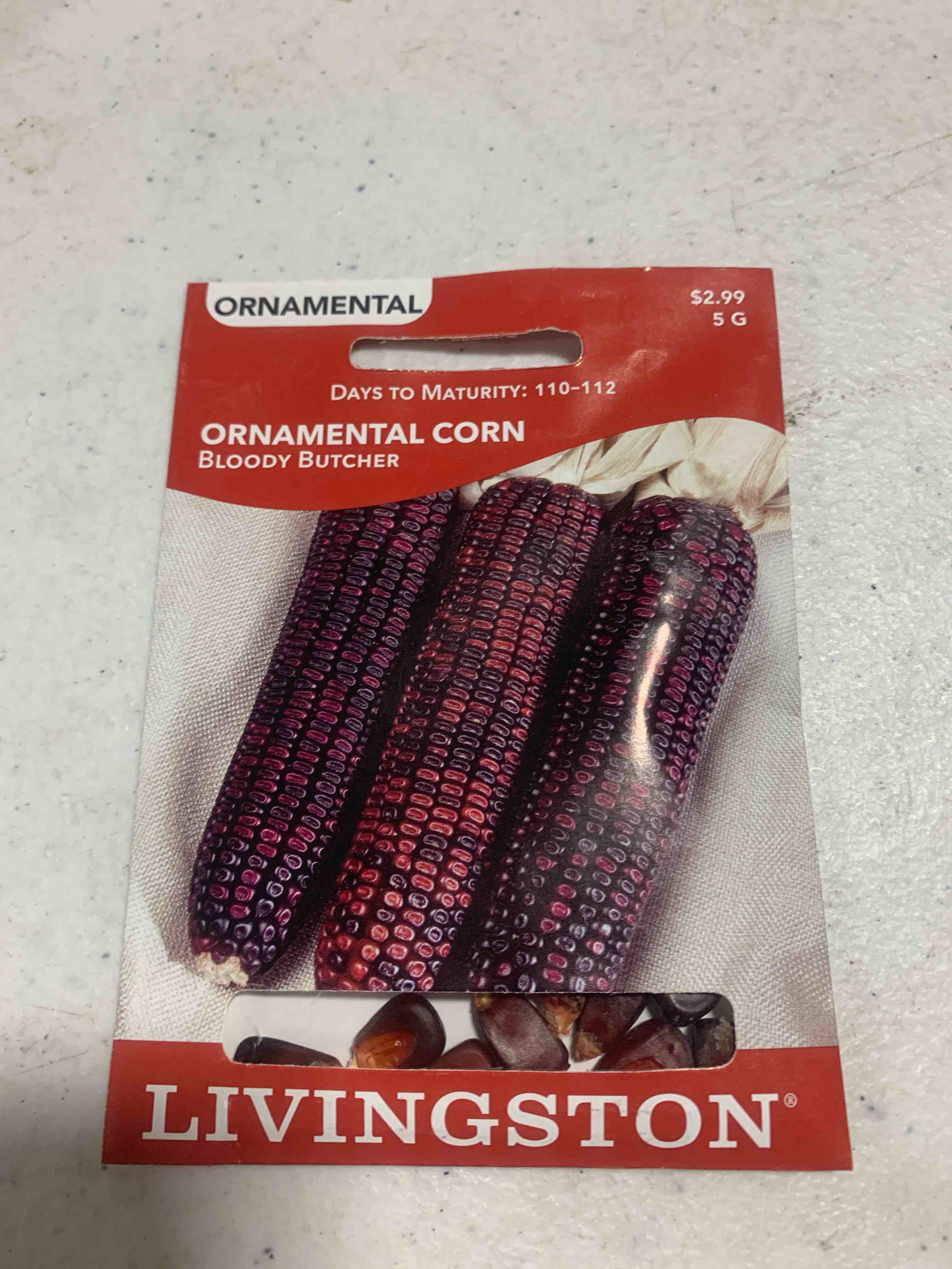 Ornamental Corn, Bloody Butcher 5G