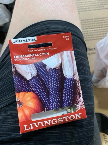https://s3.amazonaws.com/lotting-images-prod/048389399483_1749620969342.jpeg