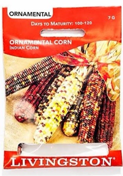Livingston Ornamental Corn Indian Corn