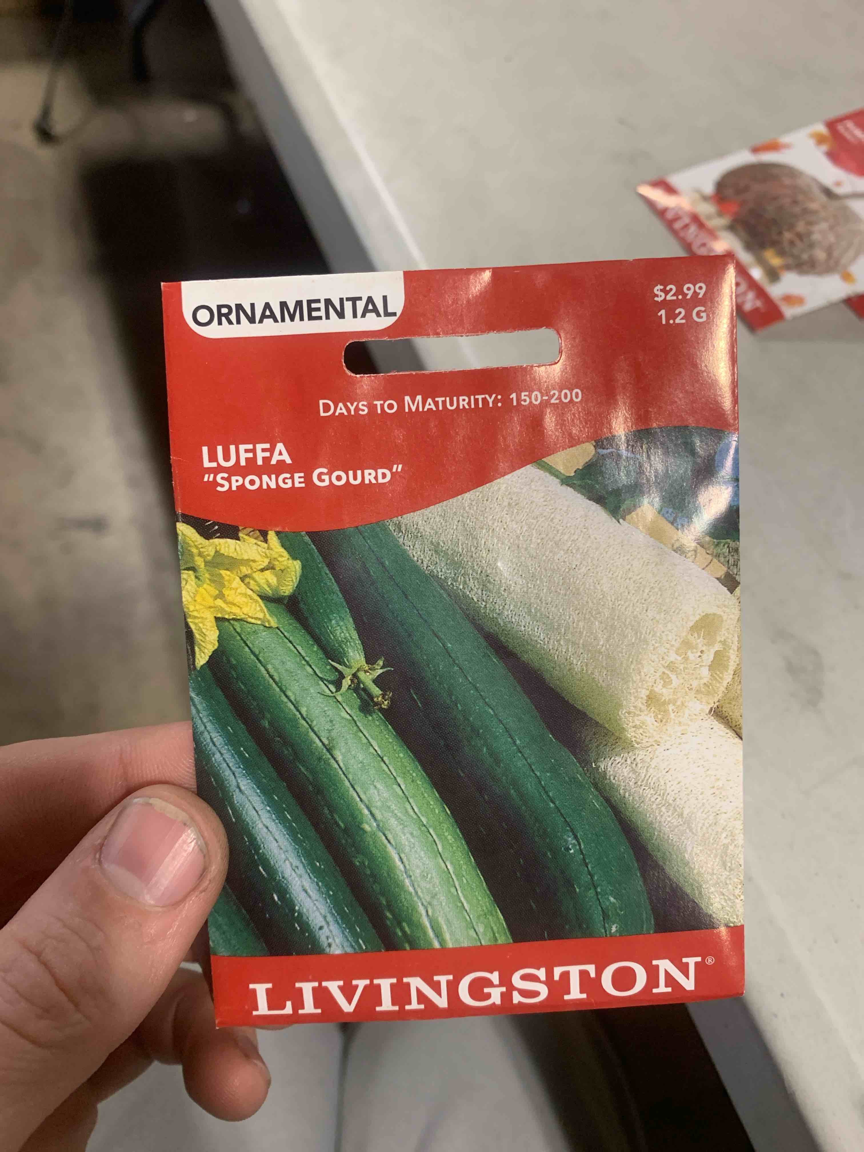 Livingston Seeds, Luffa Sponge Gourd 1.2G