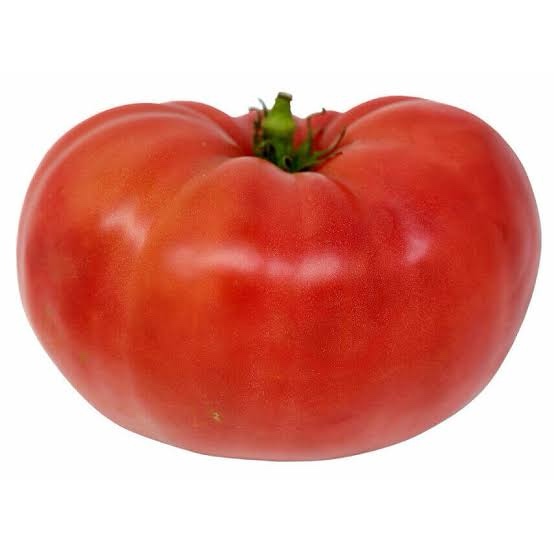 Livingston Tomato Giant Red Beefsteak