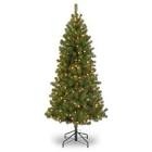Canadian Fir Grande Christmas Tree 7' with 300 Clear Lights