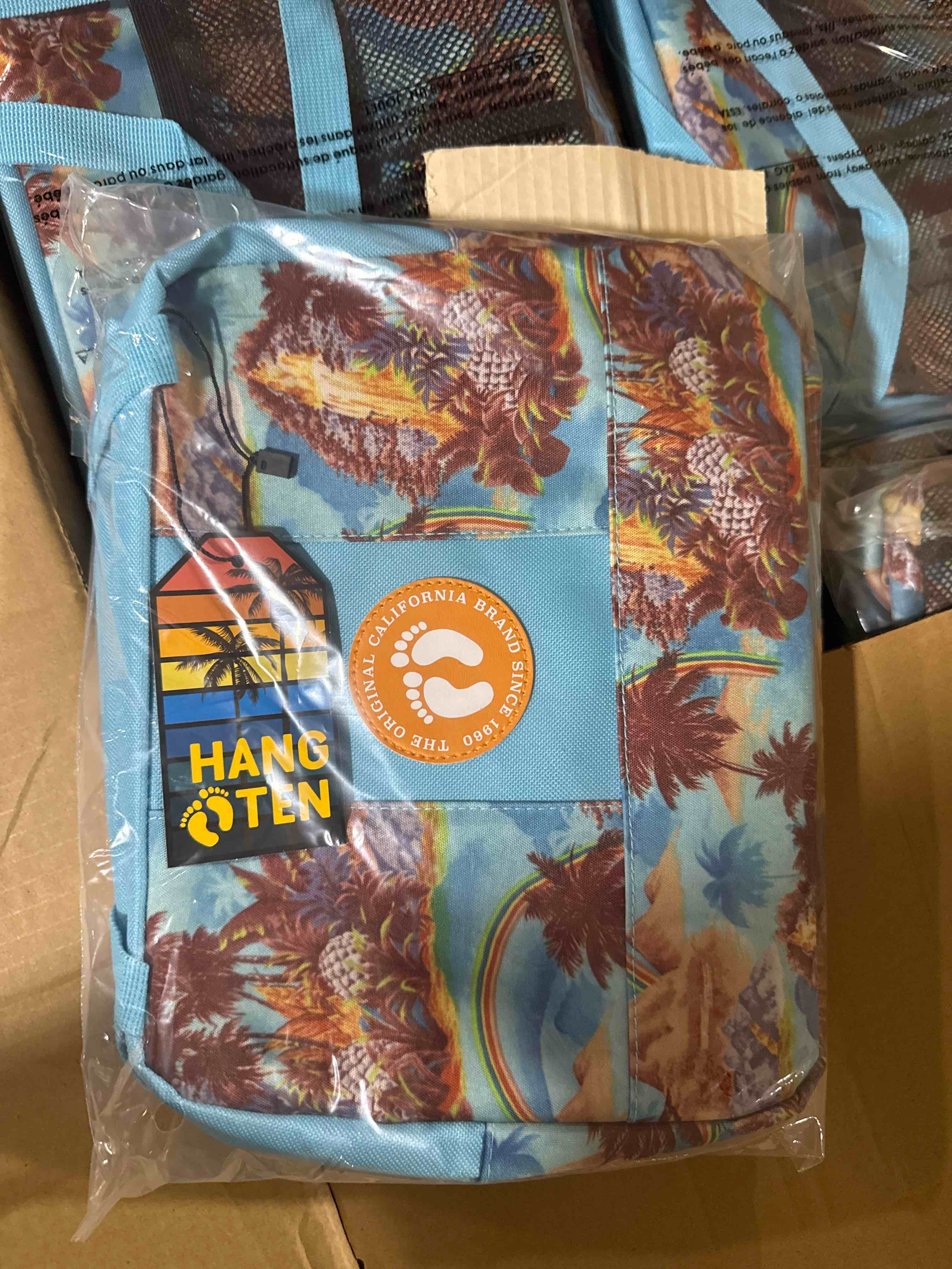hang ten lunch satchel 