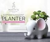 Mattys Garden Elephant Succulent Planter