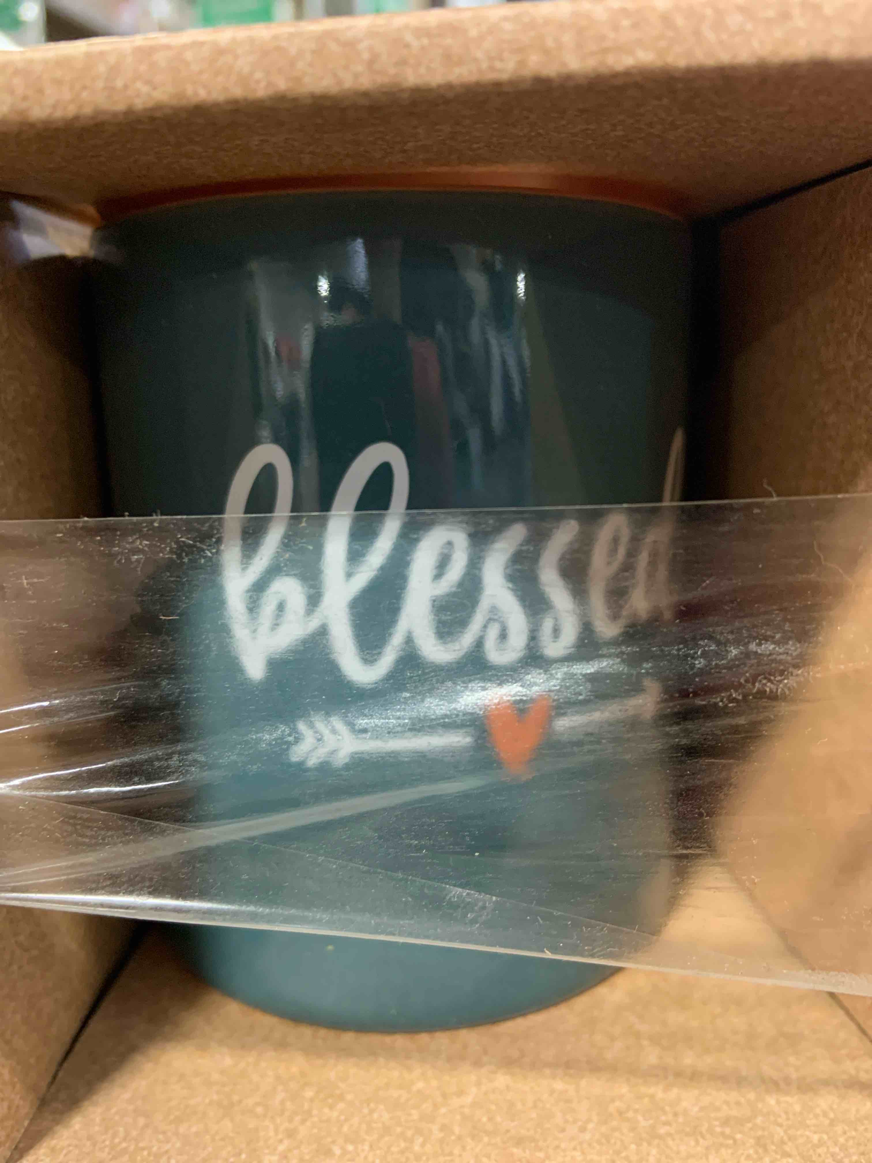 Blessed arrow 12 oz ceramic mug 