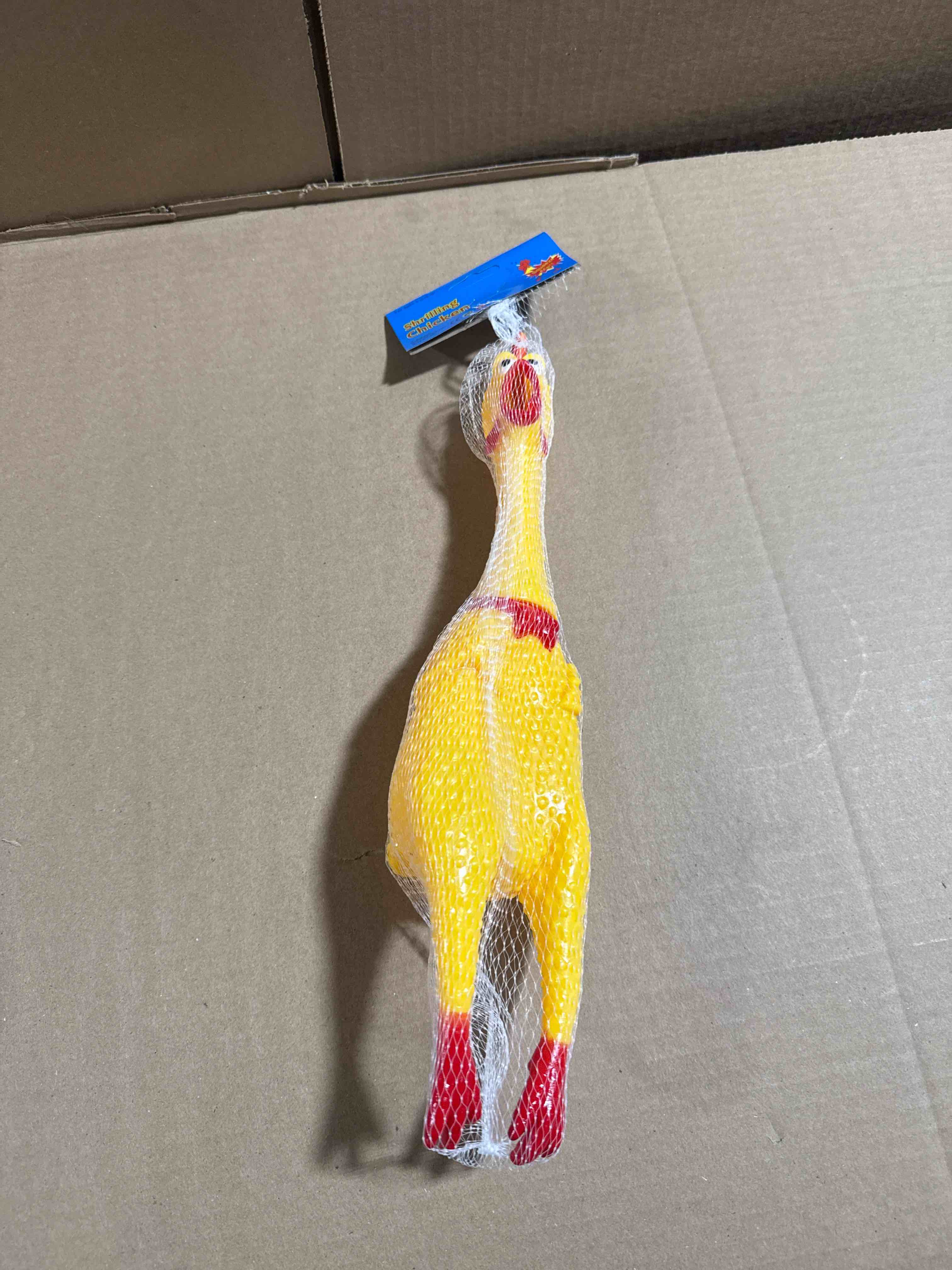 rubber squeaking chicken