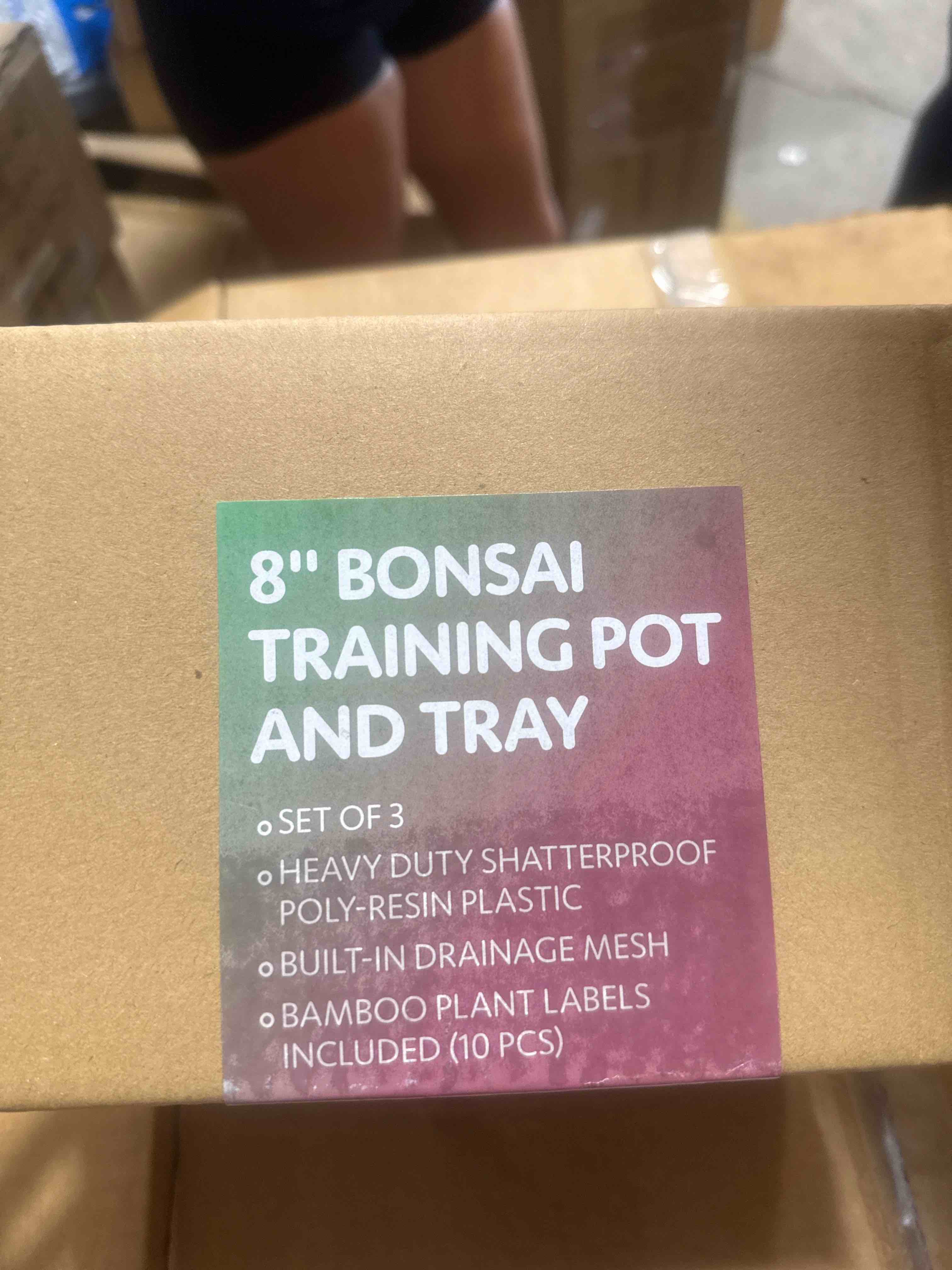 Condition photo showing New/Like New for (set of 3) 8 inch bonsai training, pot and tray