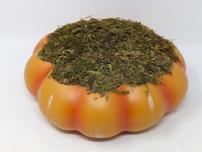 Target Bullseye Playground Fall /Halloween 2024 Pumpkin & Moss Platform 9" x 3"