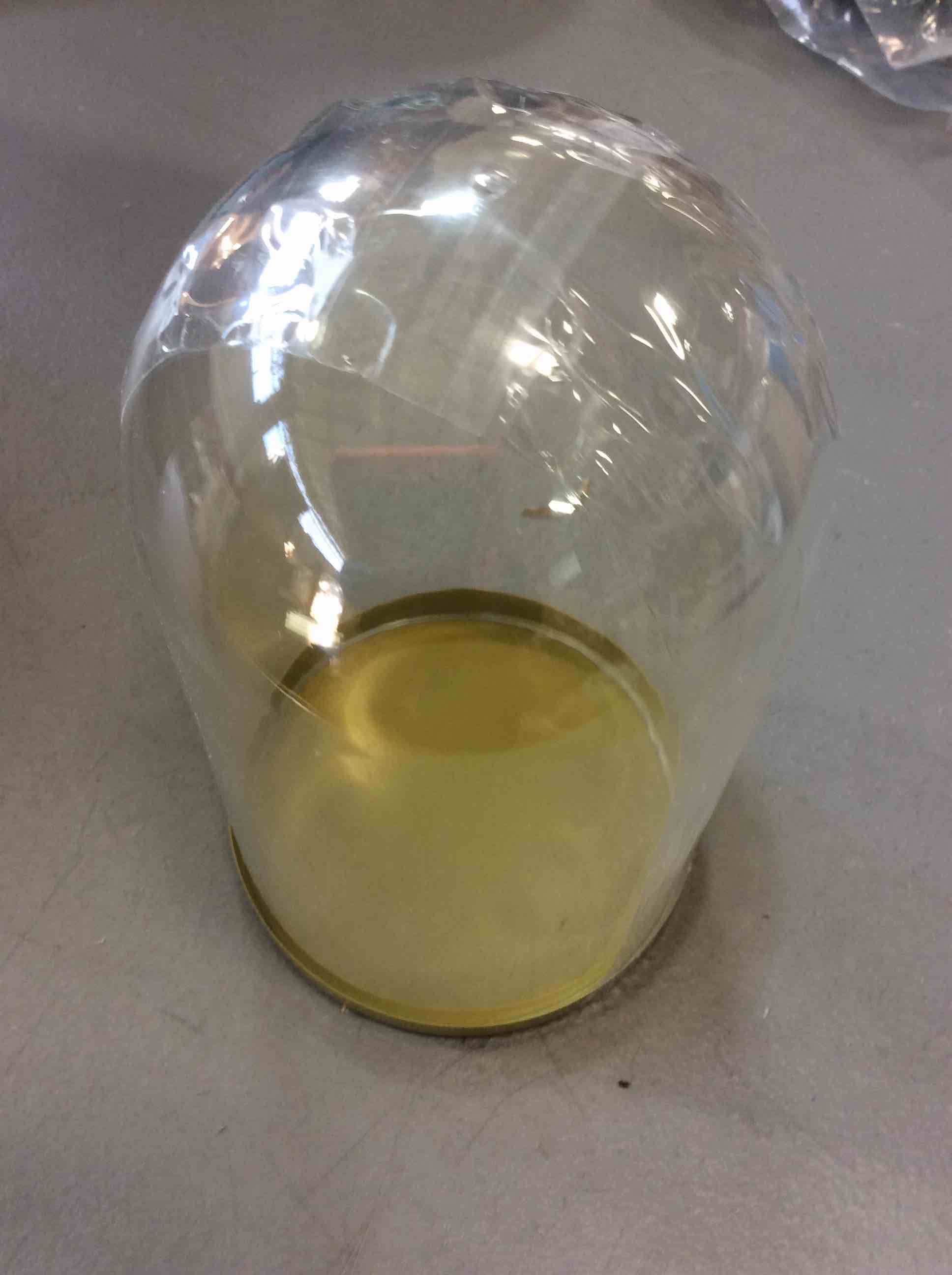 plastic cloche