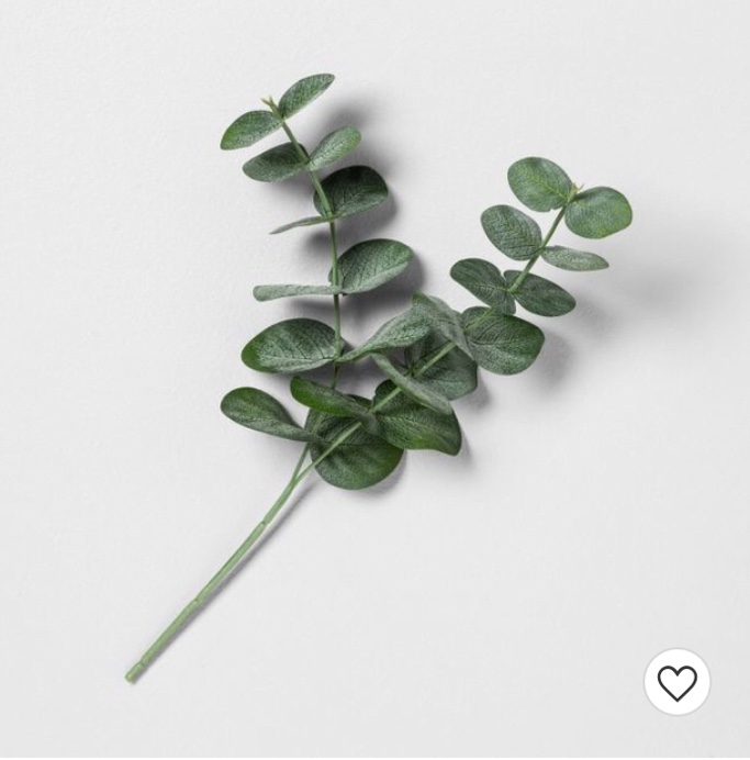 Faux Silver Dollar Eucalyptus Stem - Hearth & Hand™ with Magnolia