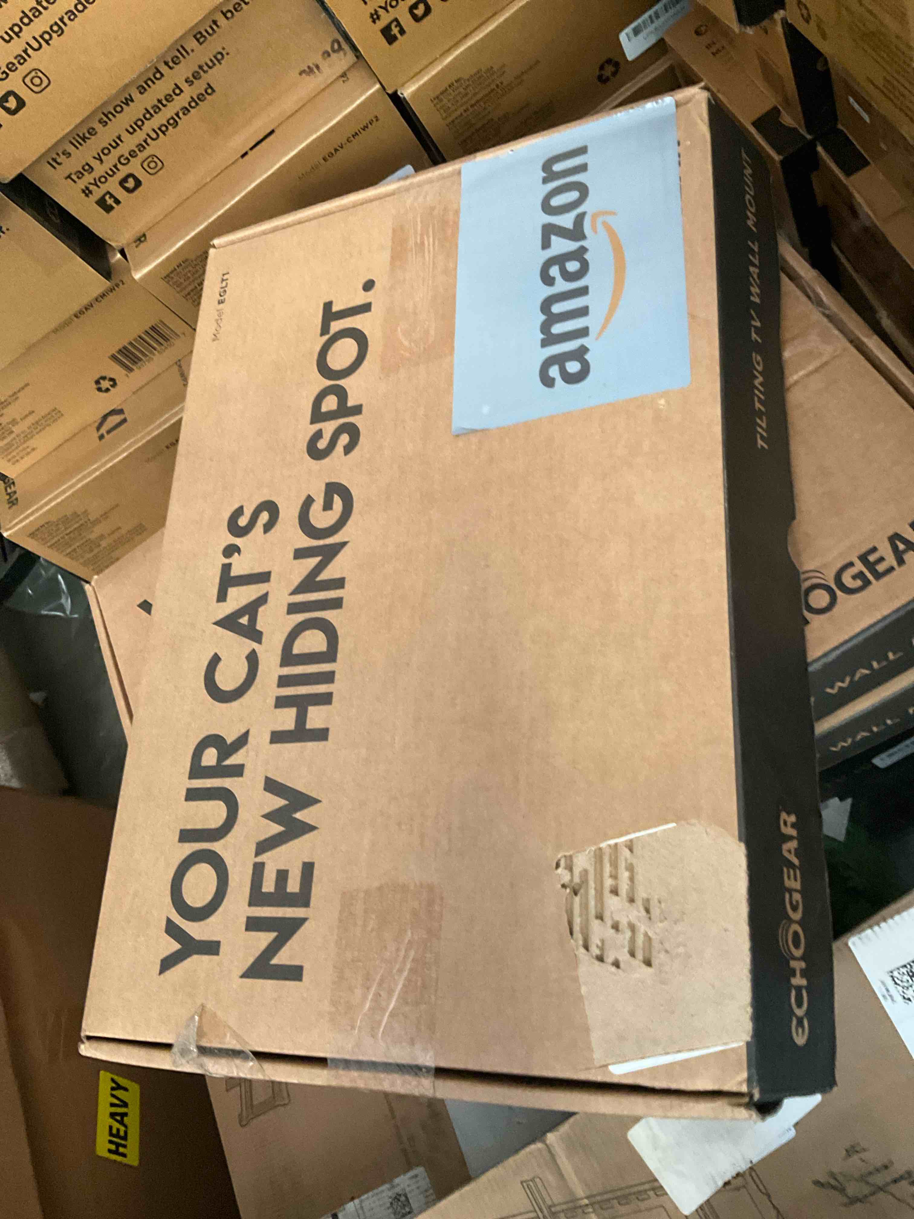 https://s3.amazonaws.com/lotting-images-prod/793795529732_1745433153209.jpeg