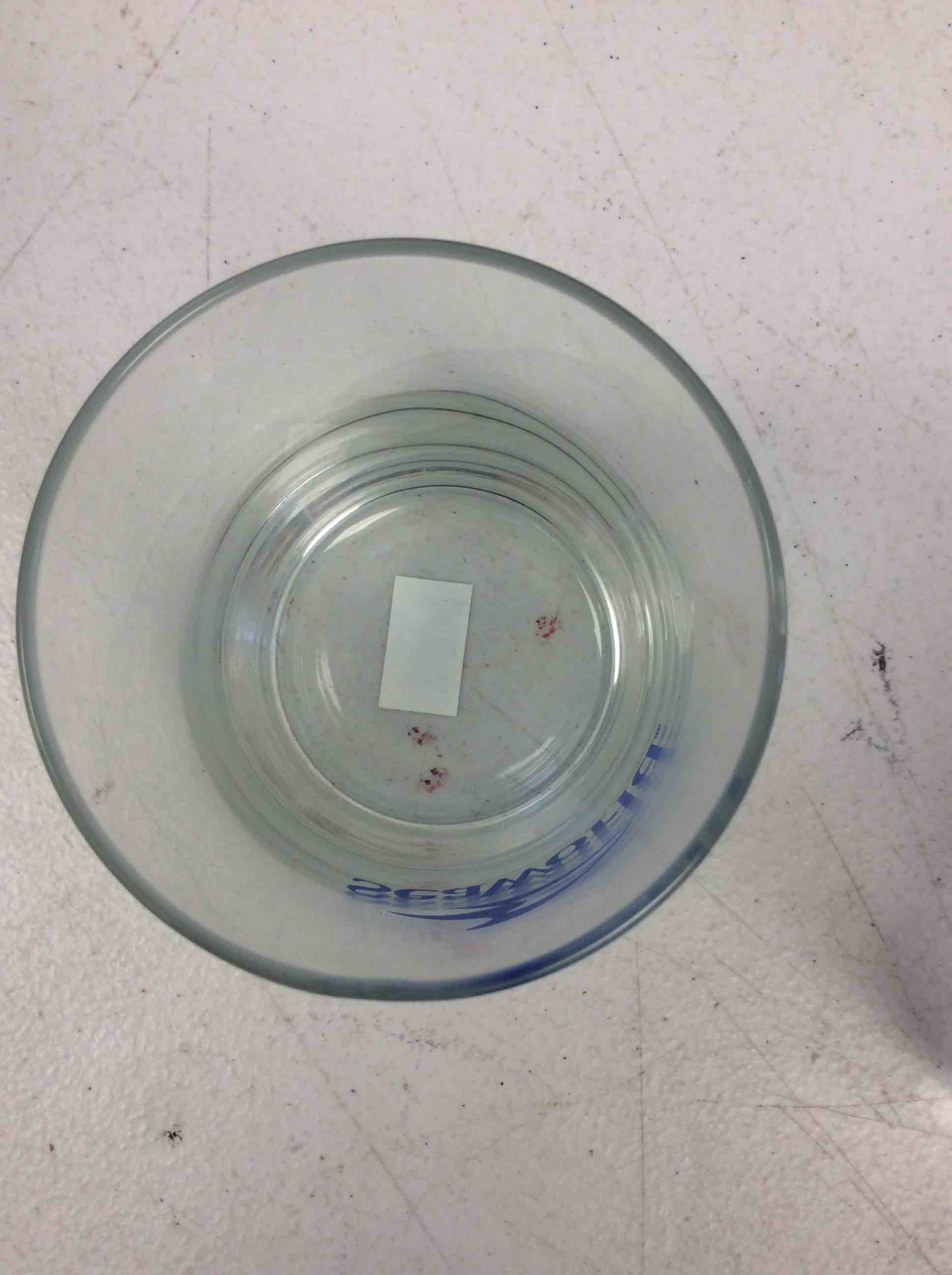 Condition photo showing New/Like New for seawolrd glass cups