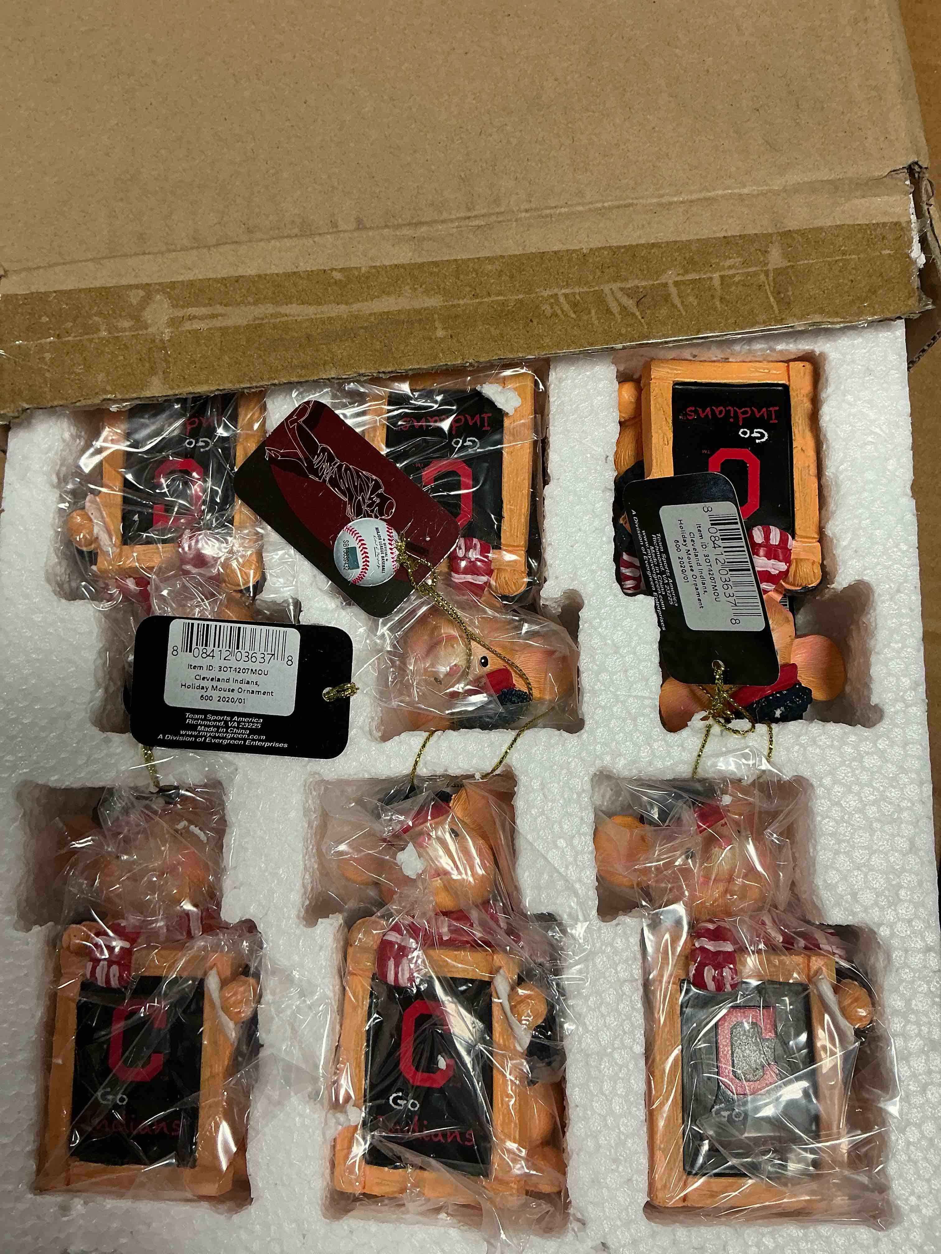 https://s3.amazonaws.com/lotting-images-prod/808412036378_1752071482308.jpeg