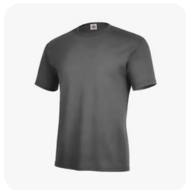 Size 3x Delta Apparel Pro Weight T-shirt Charcoal (bid per shirt)