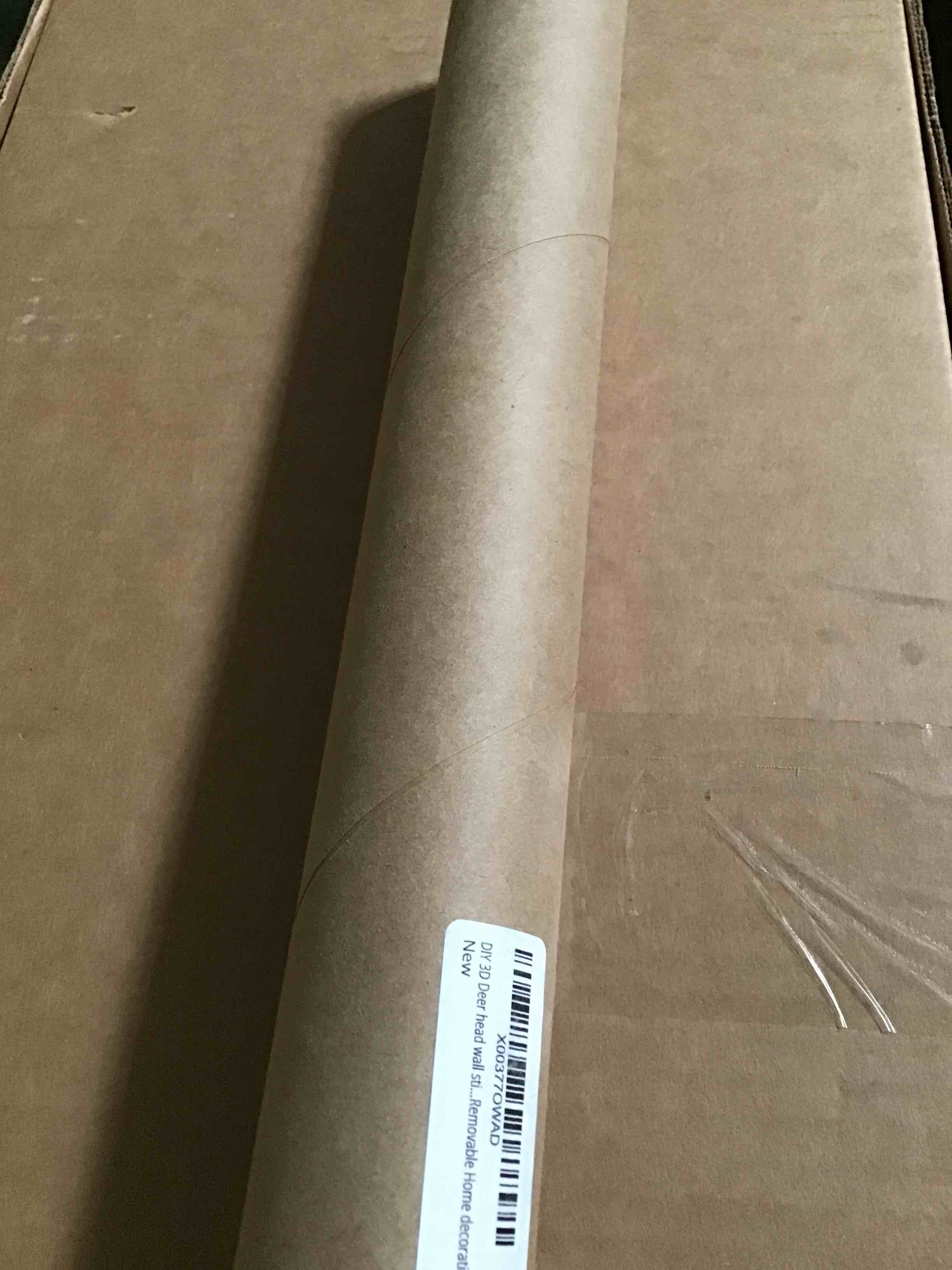 https://s3.amazonaws.com/lotting-images-prod/B01LYW62MN_1691521910264.jpeg
