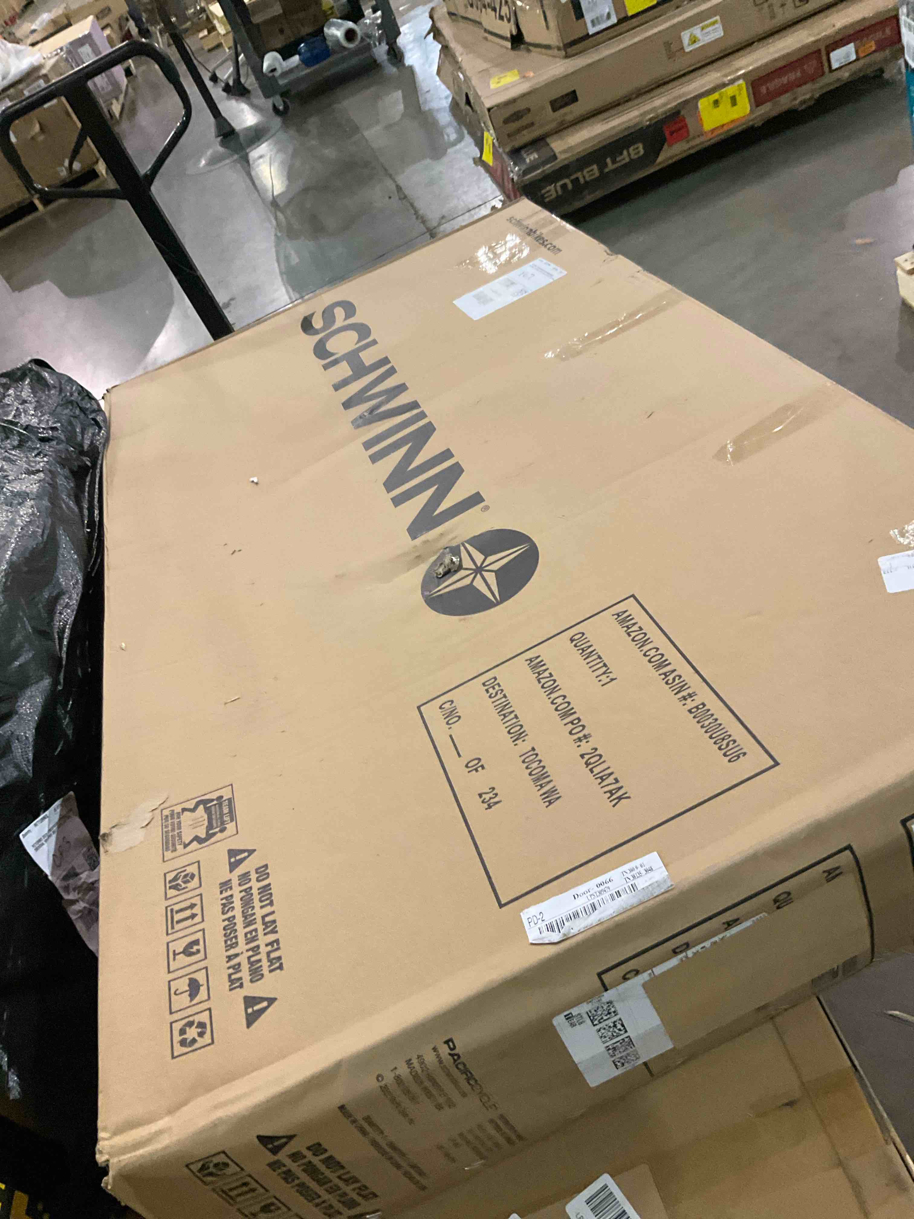 https://s3.amazonaws.com/lotting-images-prod/BargainHunt/BHL00101318_1710244018180.jpeg