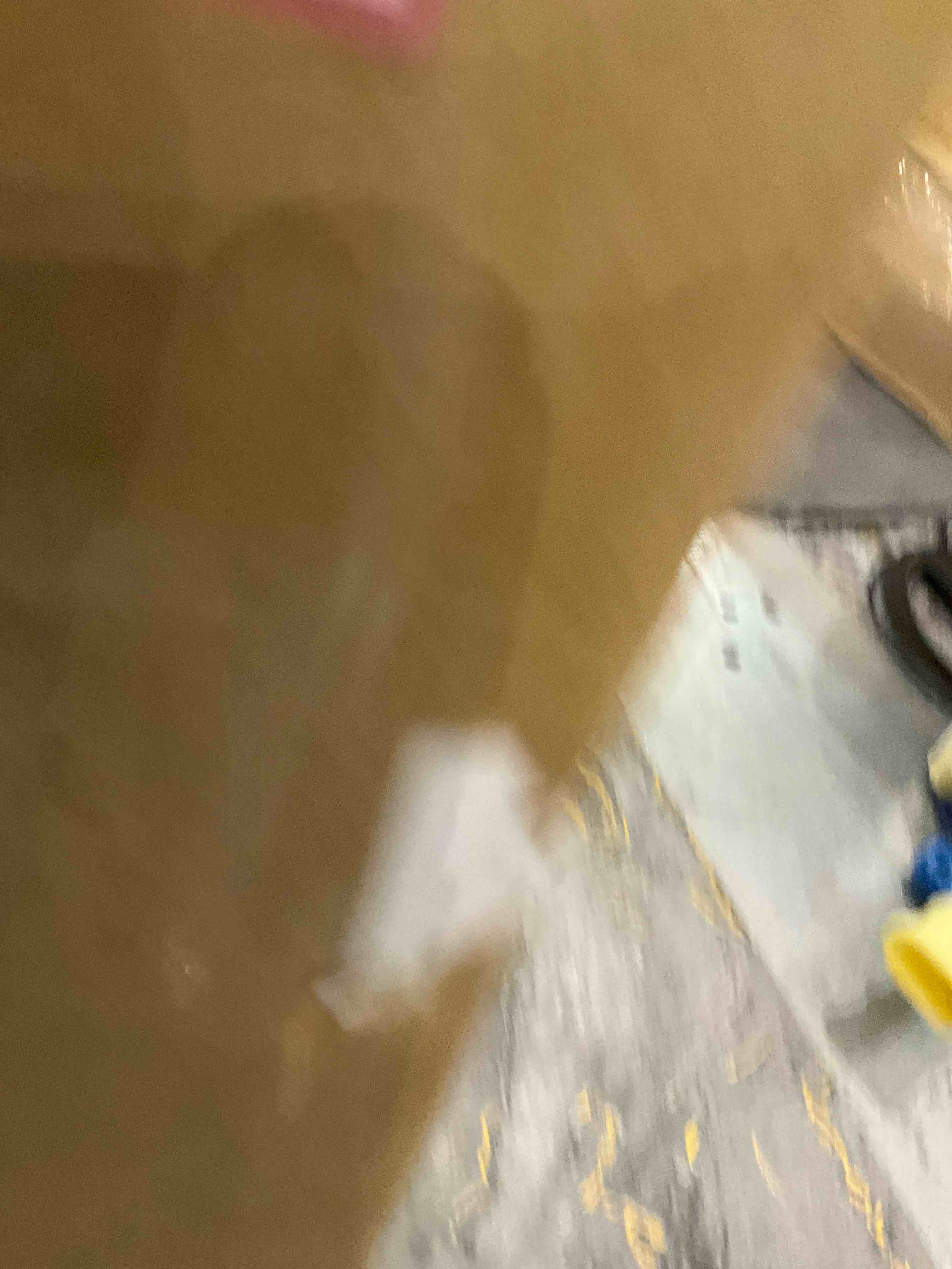 https://s3.amazonaws.com/lotting-images-prod/BargainHunt/EXS00382376_1717687647680.jpeg