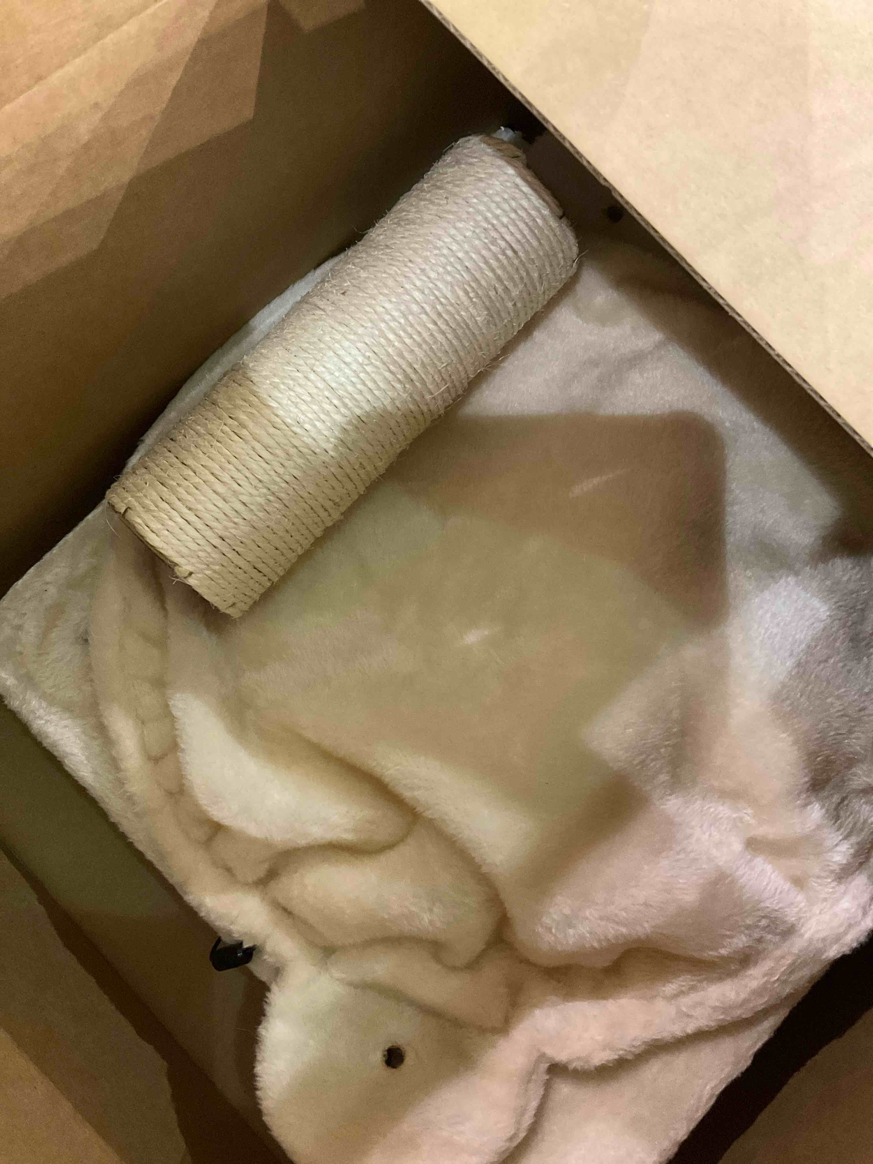 https://s3.amazonaws.com/lotting-images-prod/BargainHunt/EXS00441698_1712064286038.jpeg