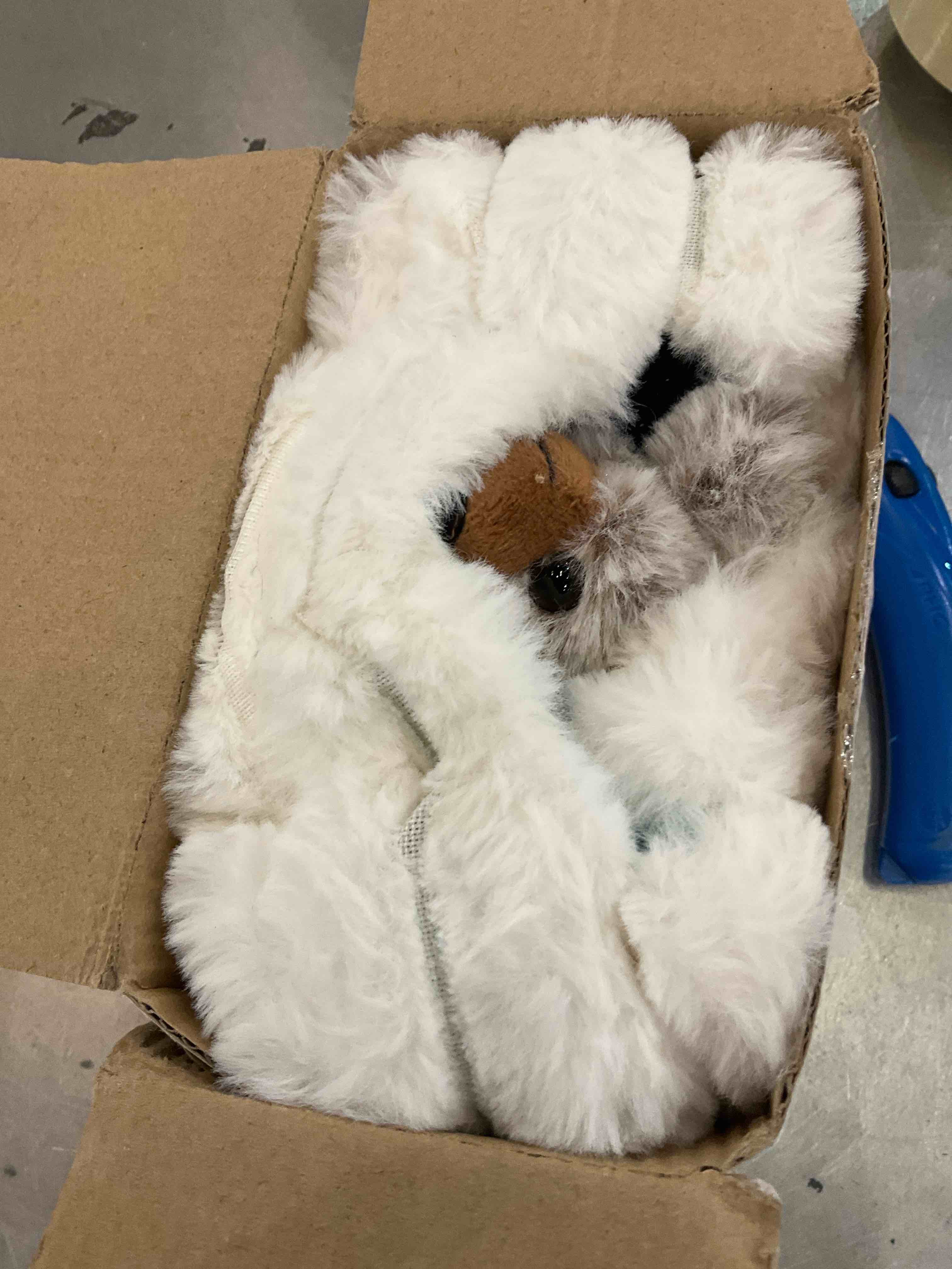 https://s3.amazonaws.com/lotting-images-prod/BargainHunt/EXS00650301_1707150160879.jpeg