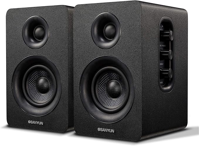 Sanyun SW 208 Speaker