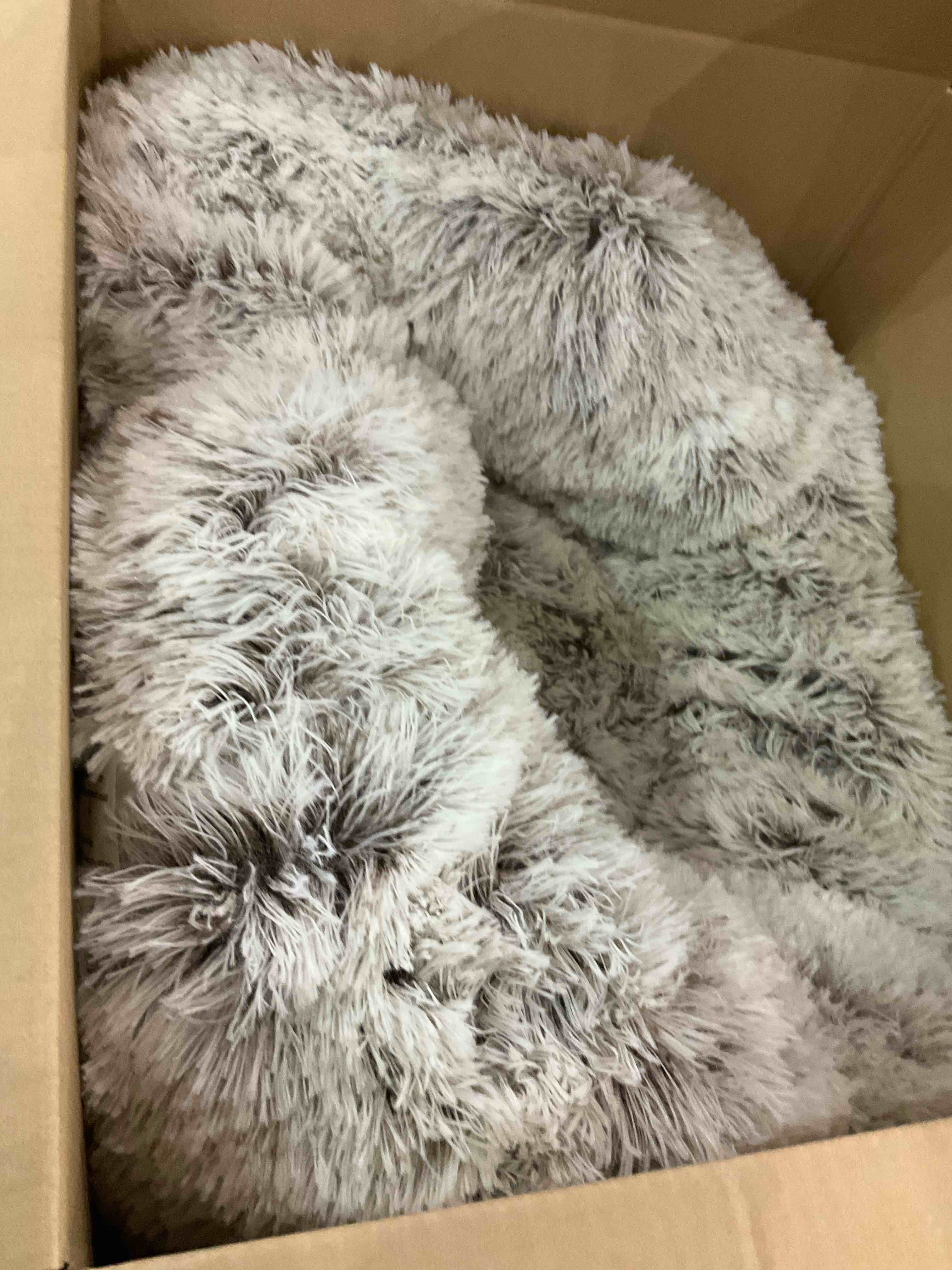 https://s3.amazonaws.com/lotting-images-prod/BargainHunt/EXS00655467_1707137109461.jpeg