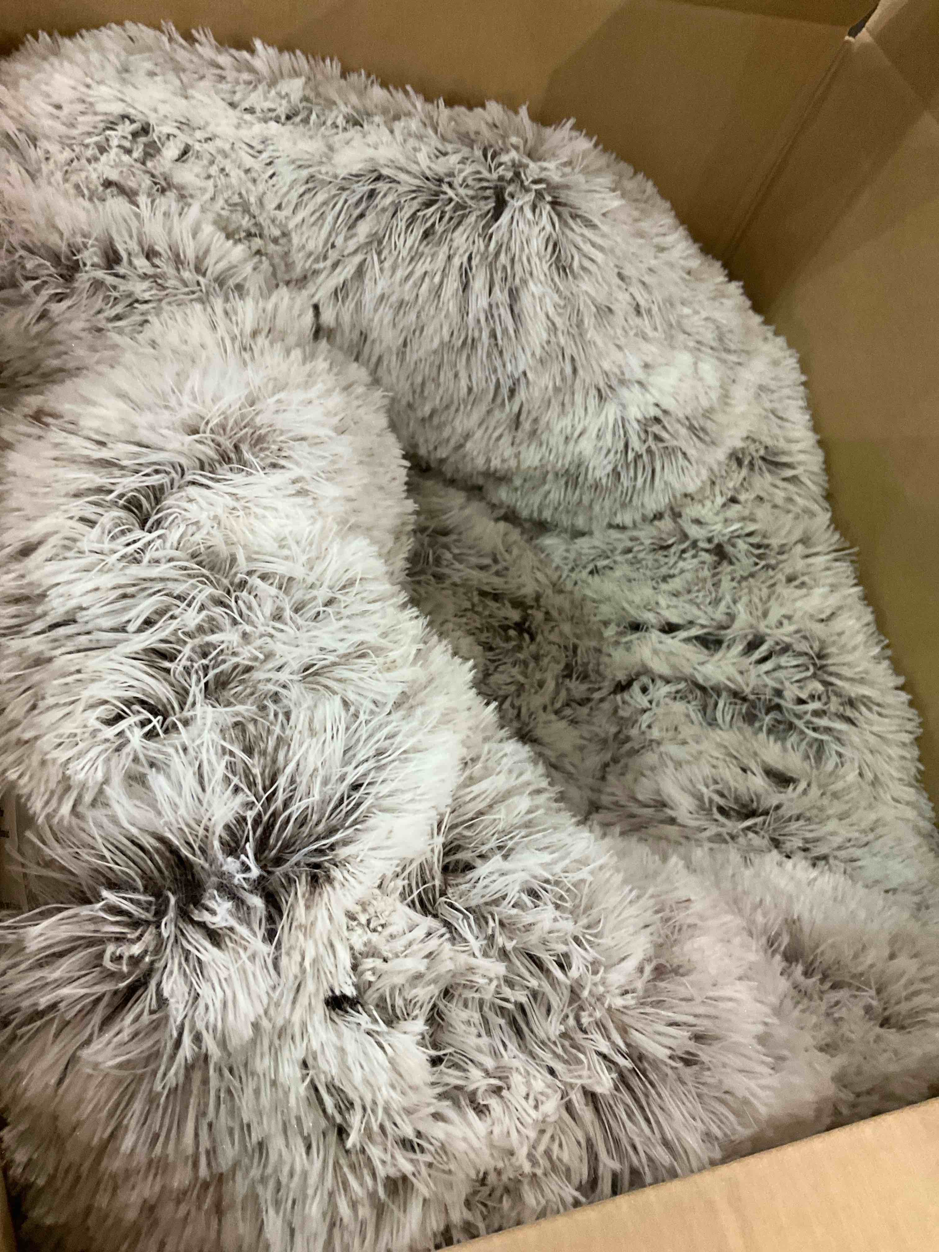 https://s3.amazonaws.com/lotting-images-prod/BargainHunt/EXS00655467_1707137111254.jpeg