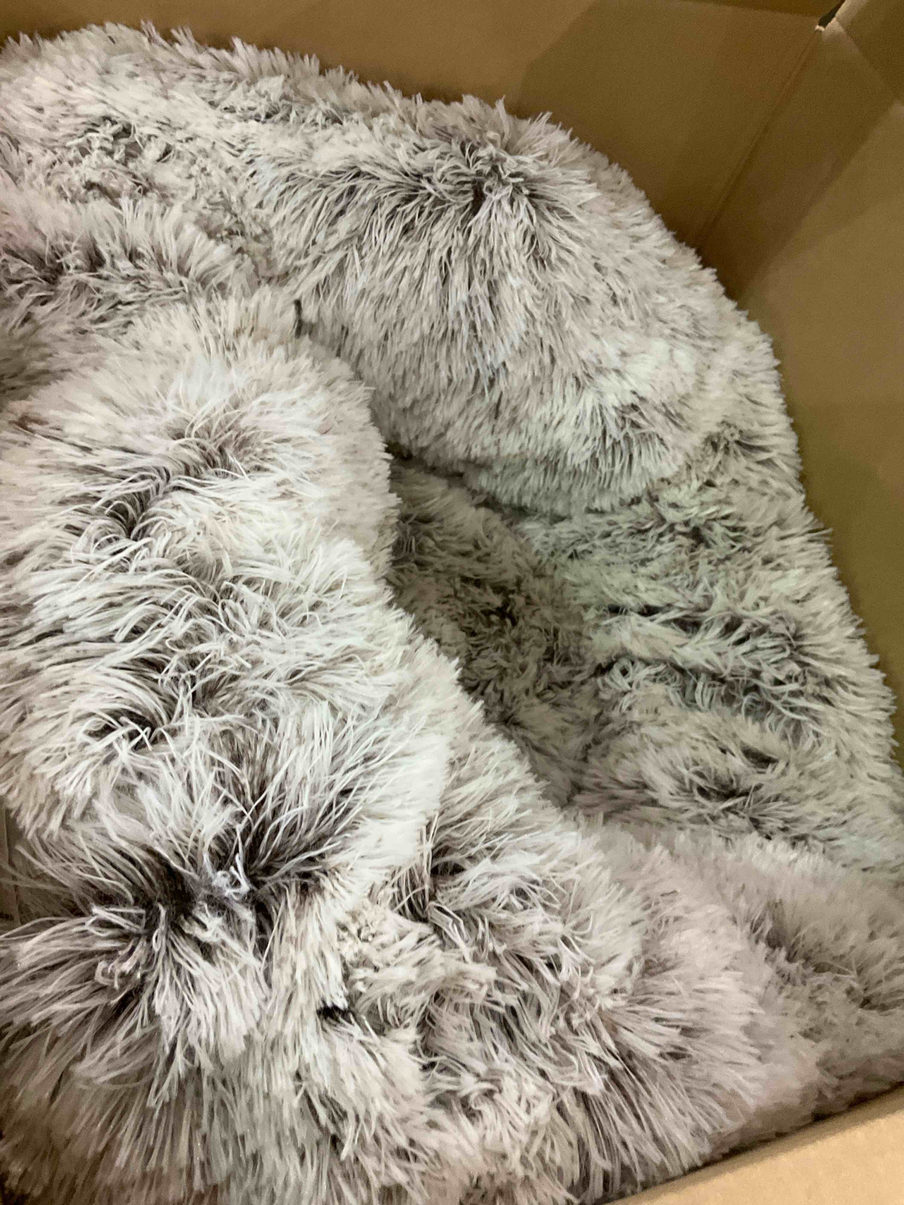 https://s3.amazonaws.com/lotting-images-prod/BargainHunt/EXS00655467_1707137112173.jpeg
