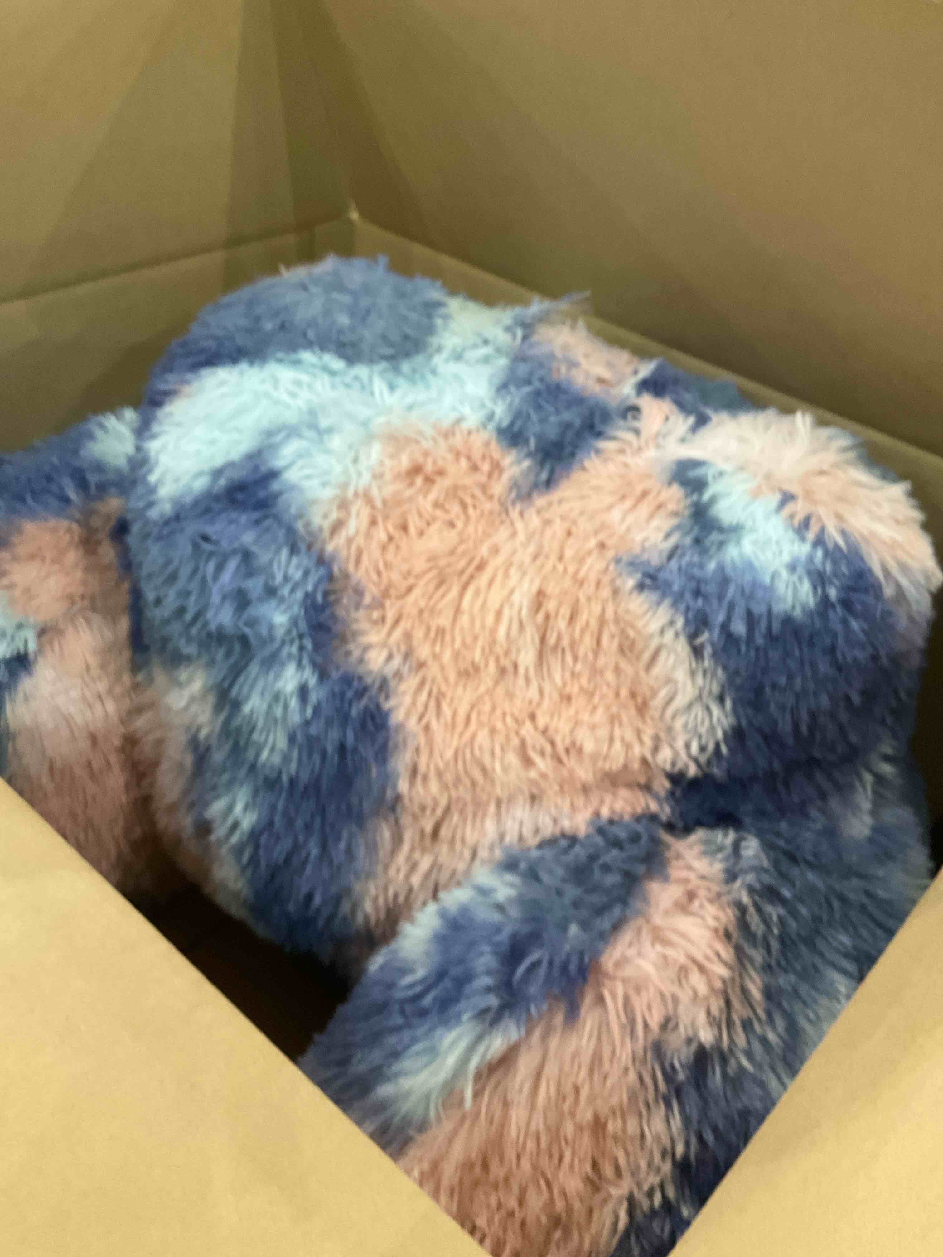 https://s3.amazonaws.com/lotting-images-prod/BargainHunt/EXS00659229_1707136261780.jpeg