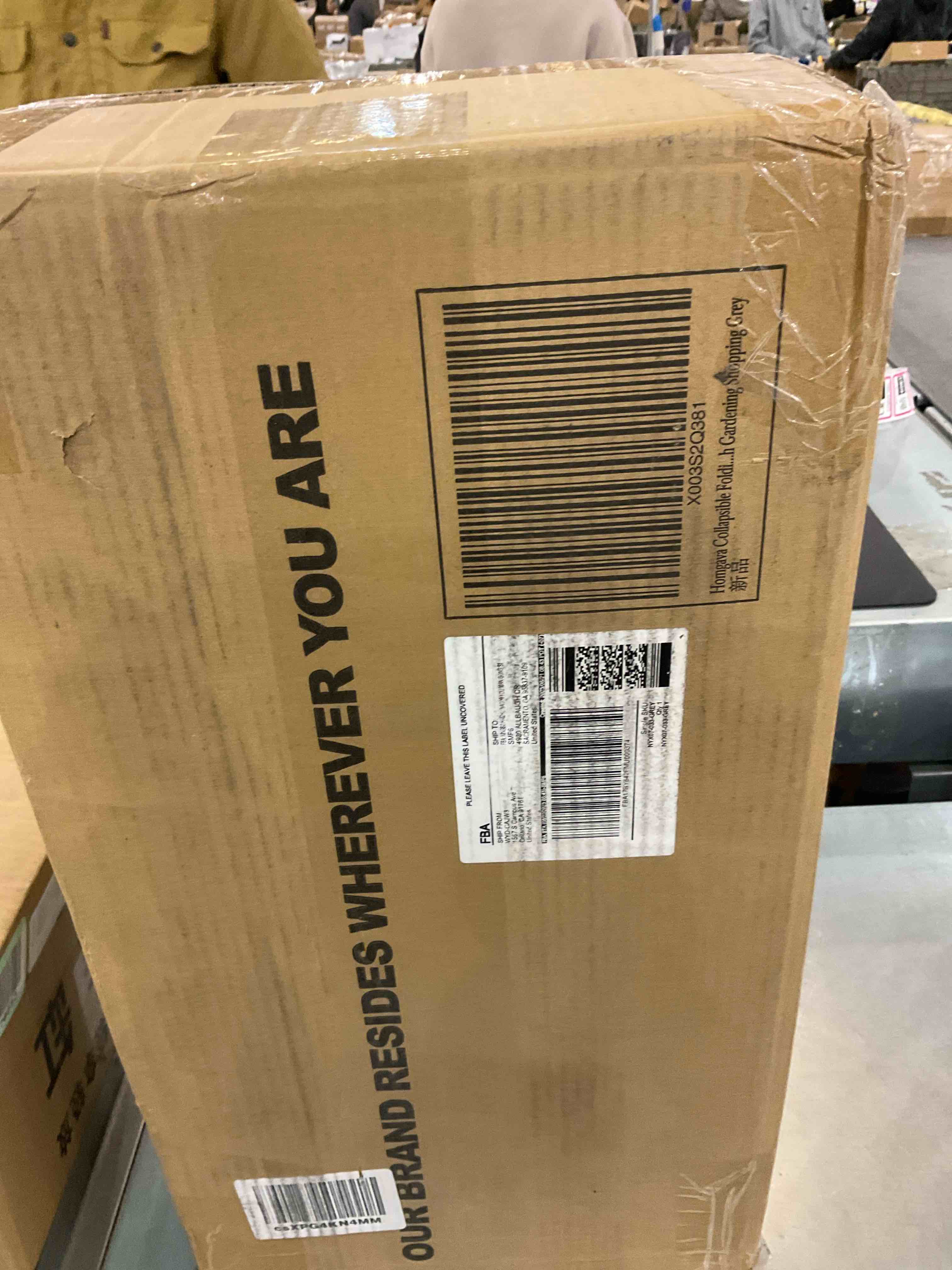 https://s3.amazonaws.com/lotting-images-prod/BargainHunt/EXS00709445_1707839161731.jpeg
