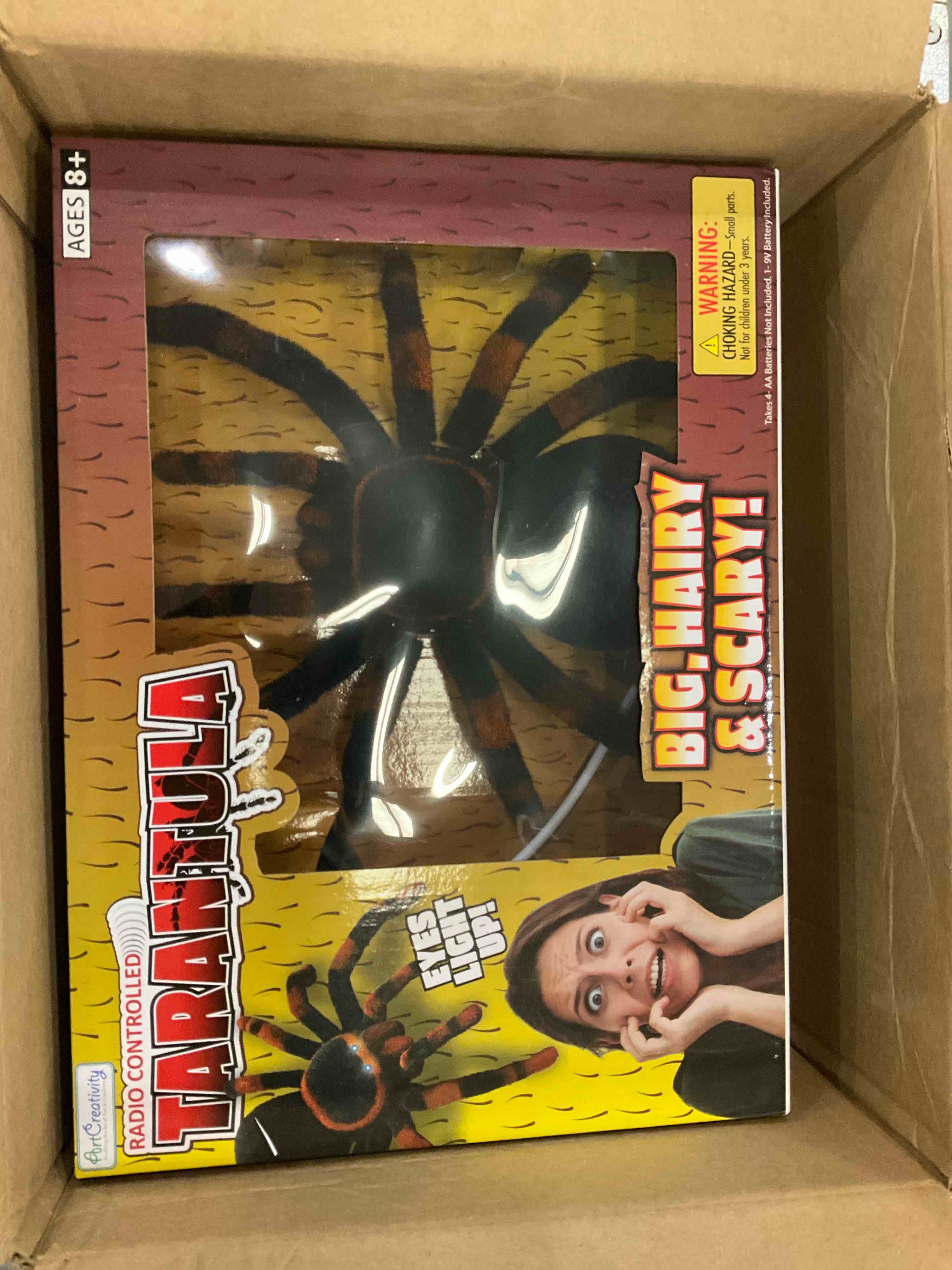 https://s3.amazonaws.com/lotting-images-prod/BargainHunt/EXS00947883_1707852248970.jpeg