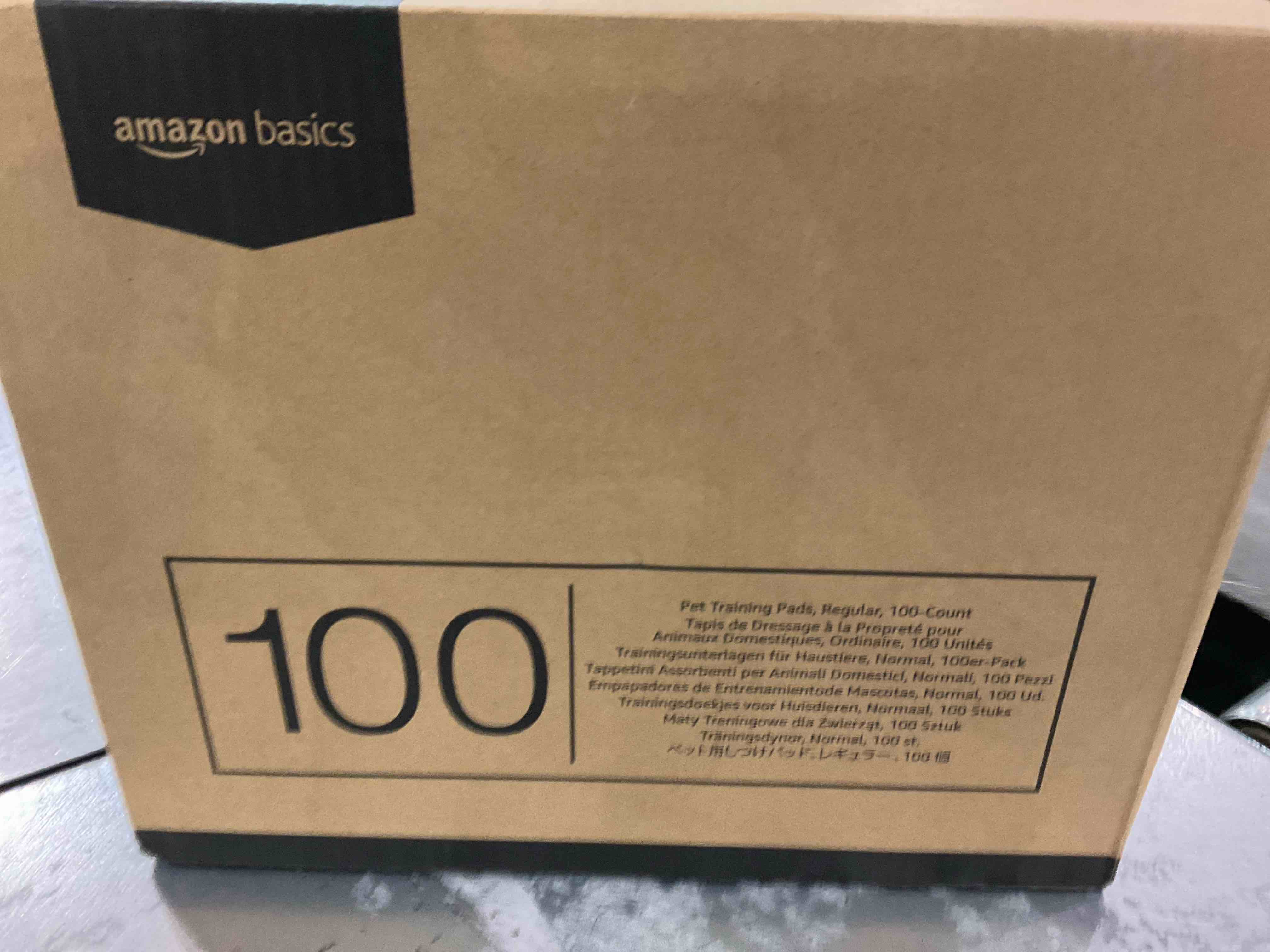 https://s3.amazonaws.com/lotting-images-prod/BargainHunt/EXS00947962_1707918365681.jpeg