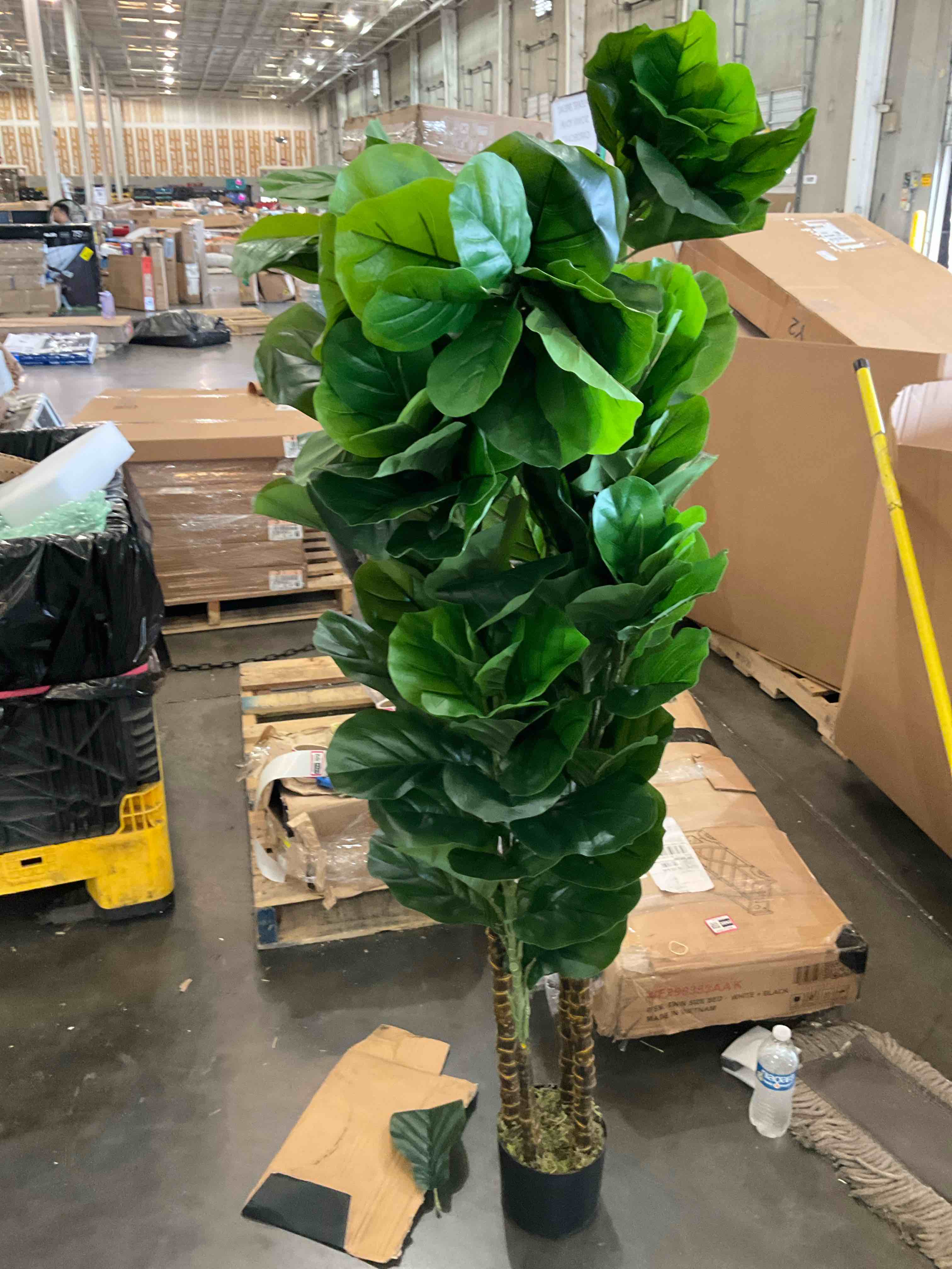 FLOWORLD Artificial Rubber Tree Plant 5ft Tall Faux Ficus Tree Potted Fake Tropical Plants Decorative House Plants Large Floor Plants Artificial Trees for Home Office Store Room Decor