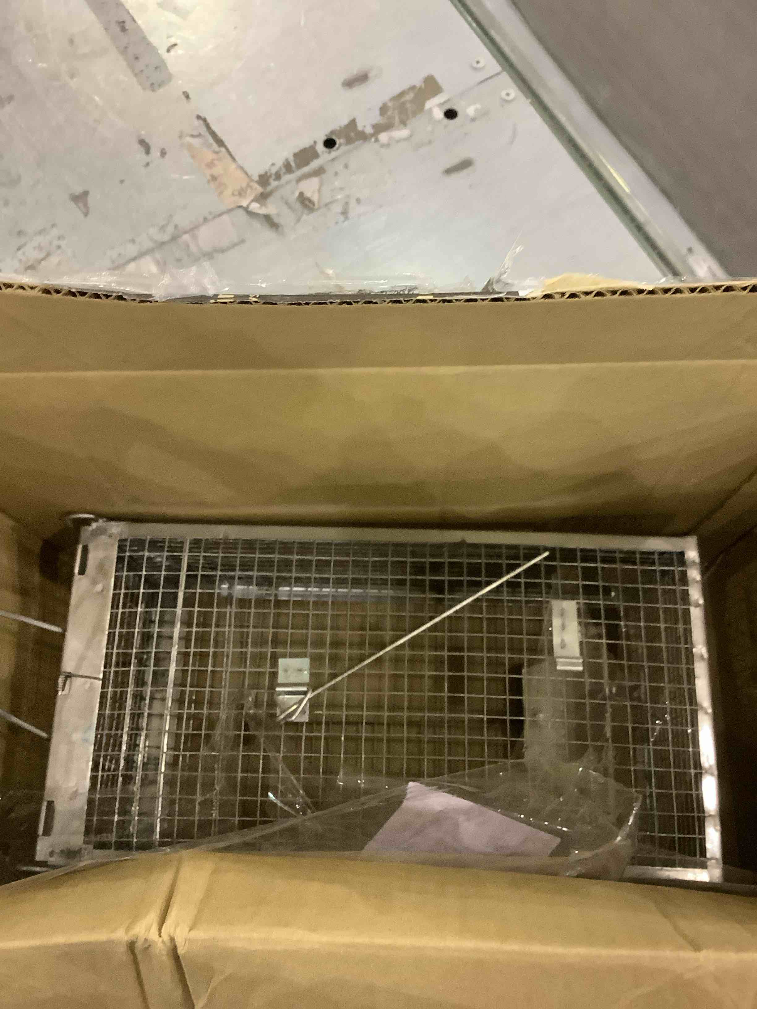 https://s3.amazonaws.com/lotting-images-prod/BargainHunt/EXS01010649_1709037704165.jpeg