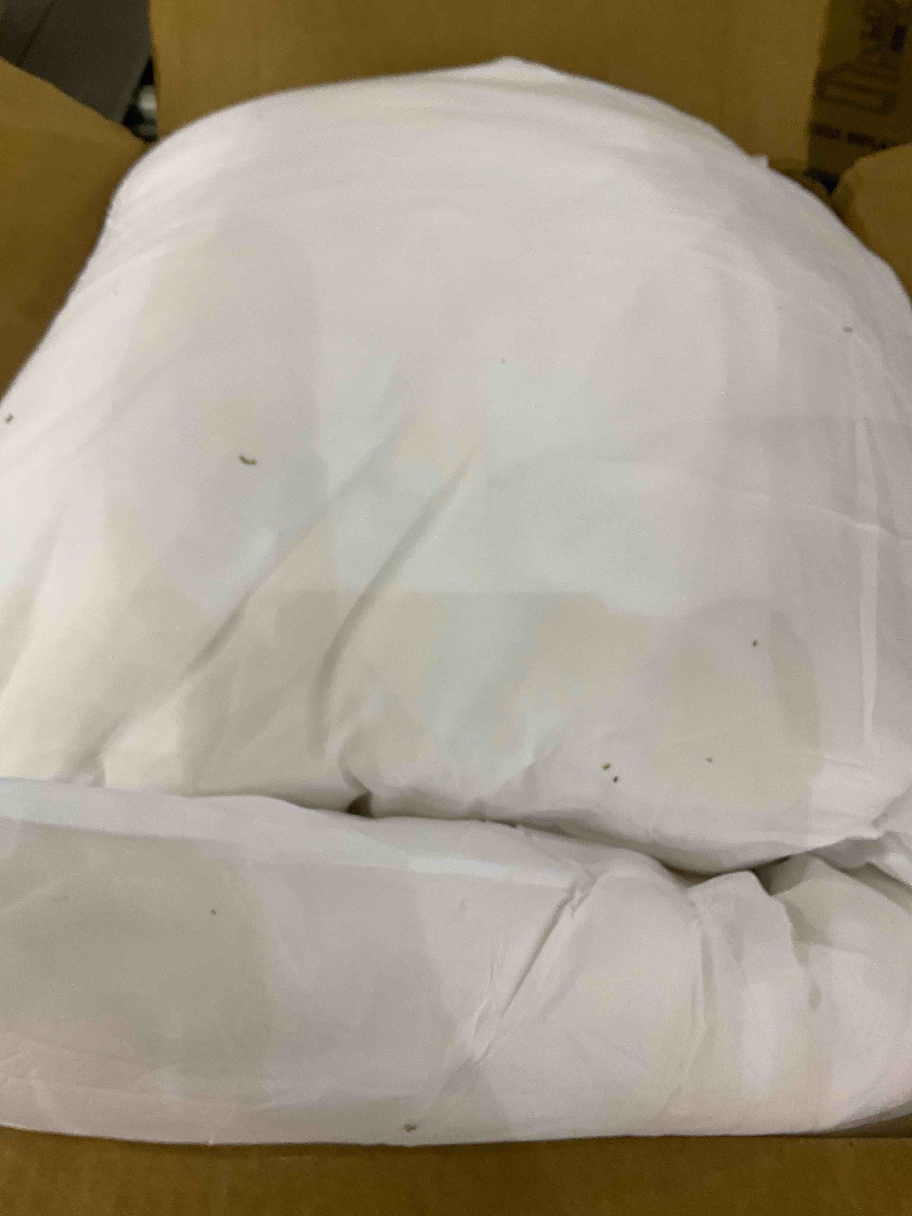 https://s3.amazonaws.com/lotting-images-prod/BargainHunt/EXS01015381_1709046908341.jpeg