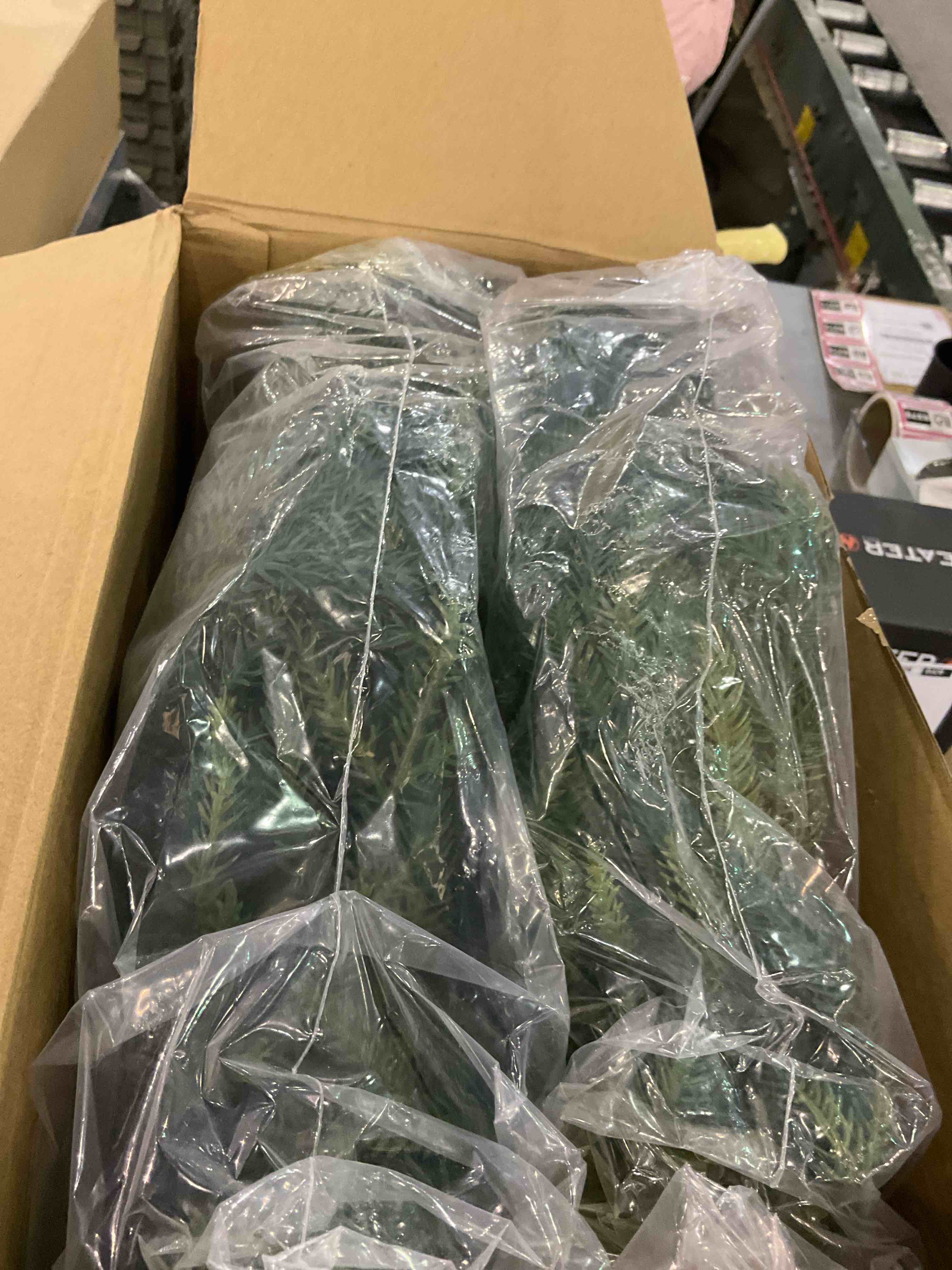 https://s3.amazonaws.com/lotting-images-prod/BargainHunt/EXS01024062_1707508776688.jpeg