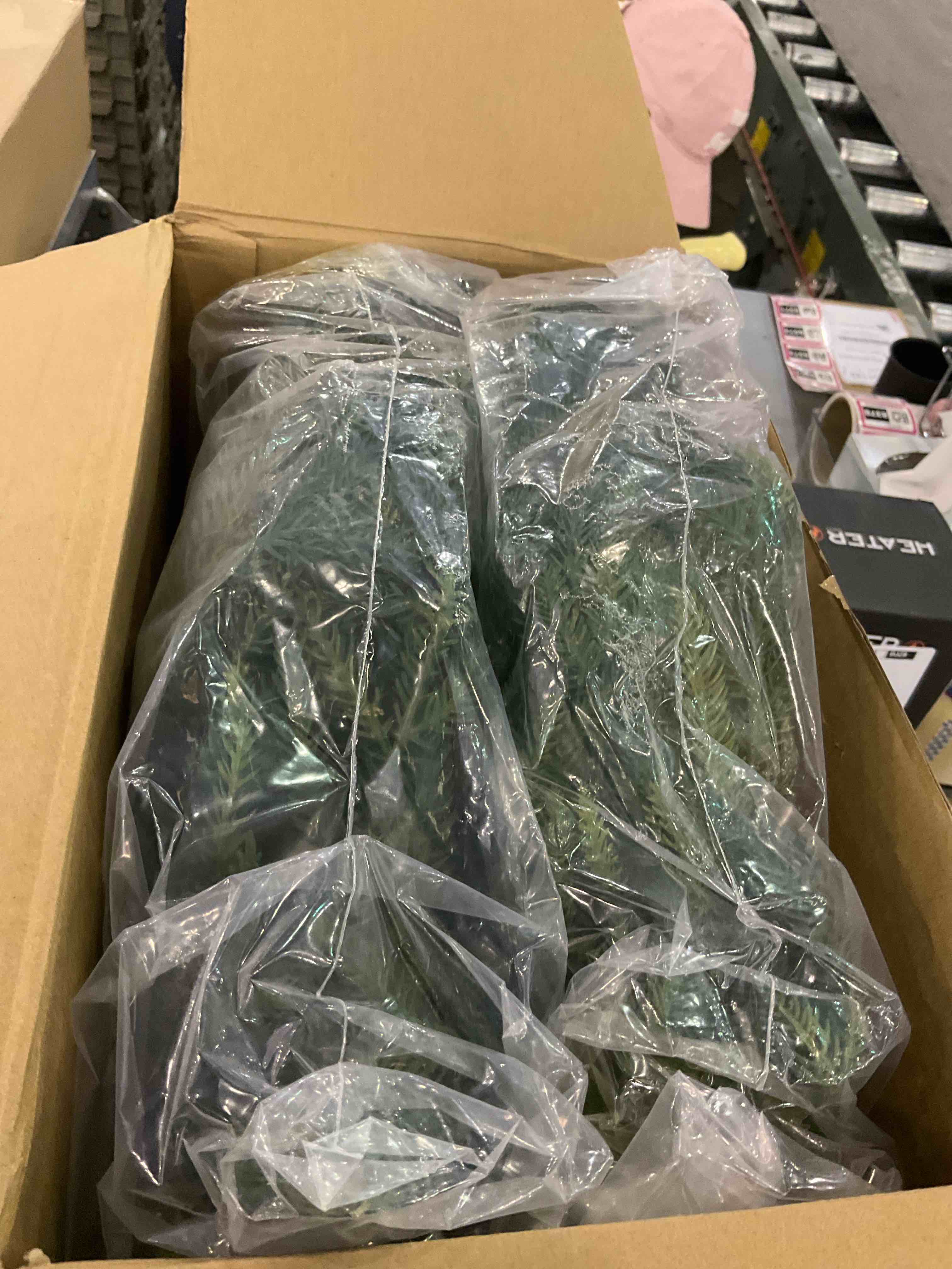 https://s3.amazonaws.com/lotting-images-prod/BargainHunt/EXS01024062_1707508777671.jpeg