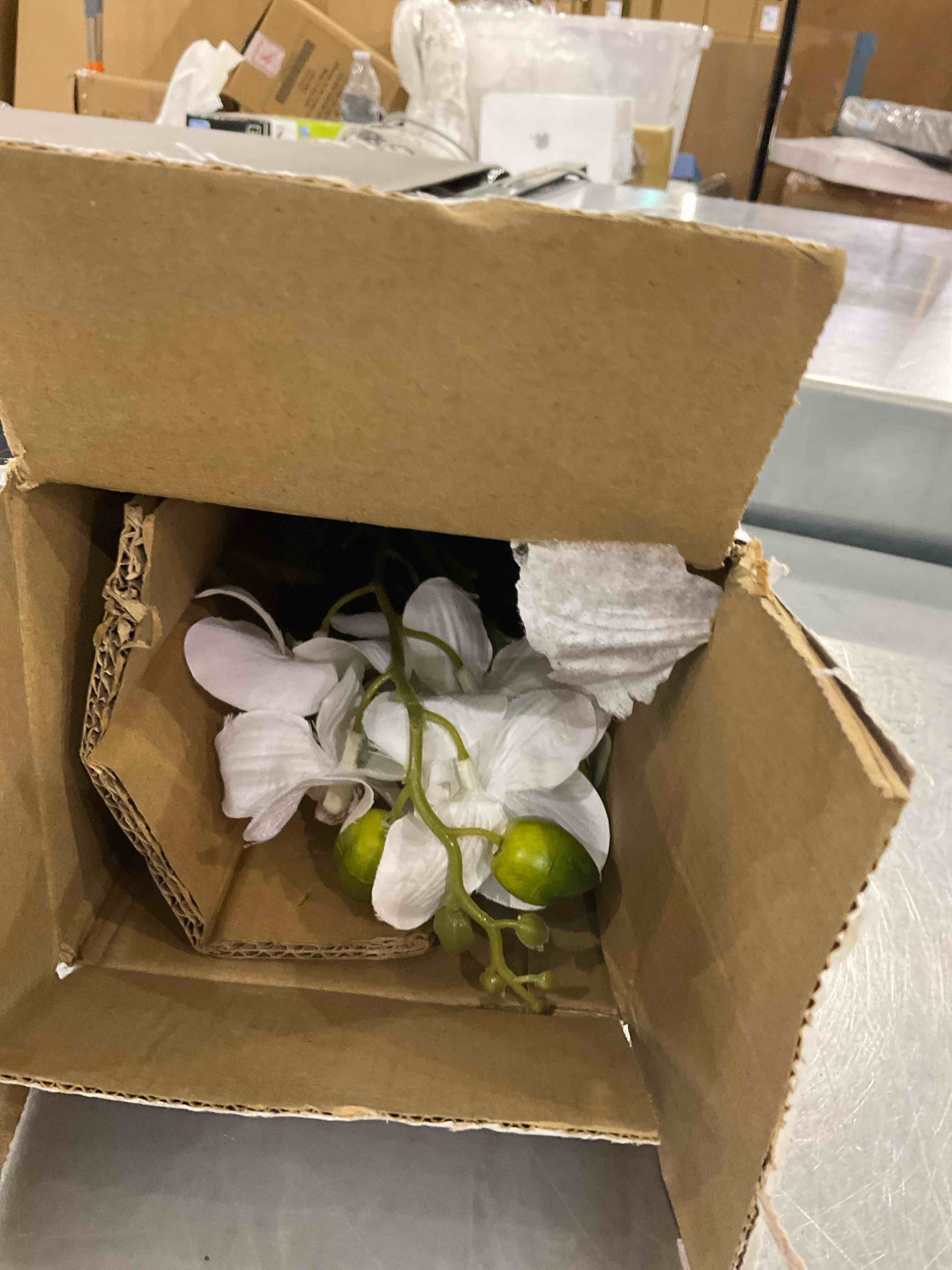https://s3.amazonaws.com/lotting-images-prod/BargainHunt/EXS01040903_1707755853259.jpeg